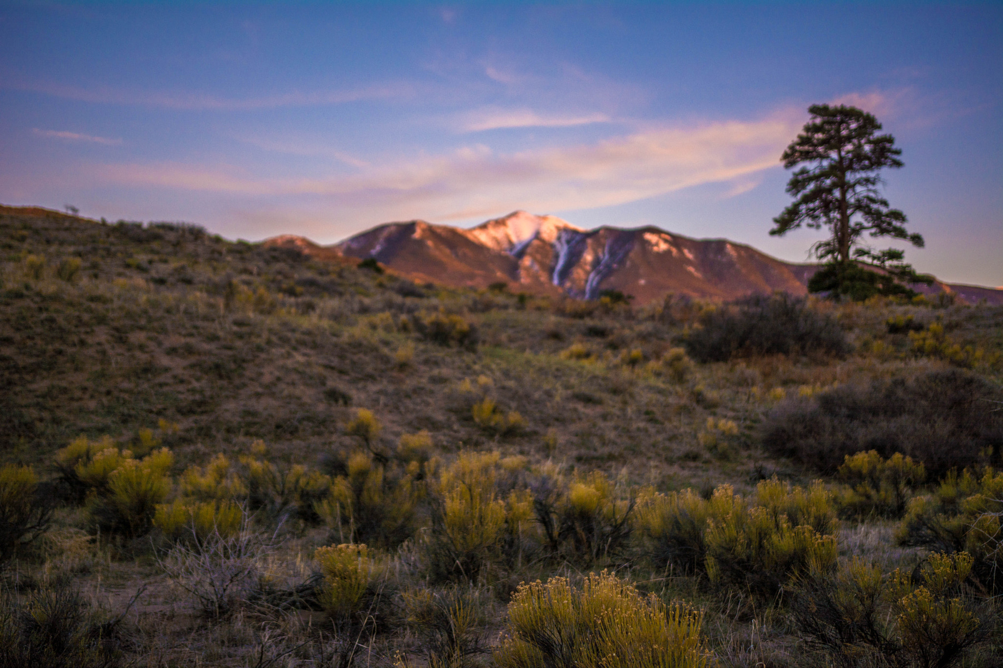 Nikon D5200 + Sigma 18-35mm F1.8 DC HSM Art sample photo. Camping in great sand dunes photography