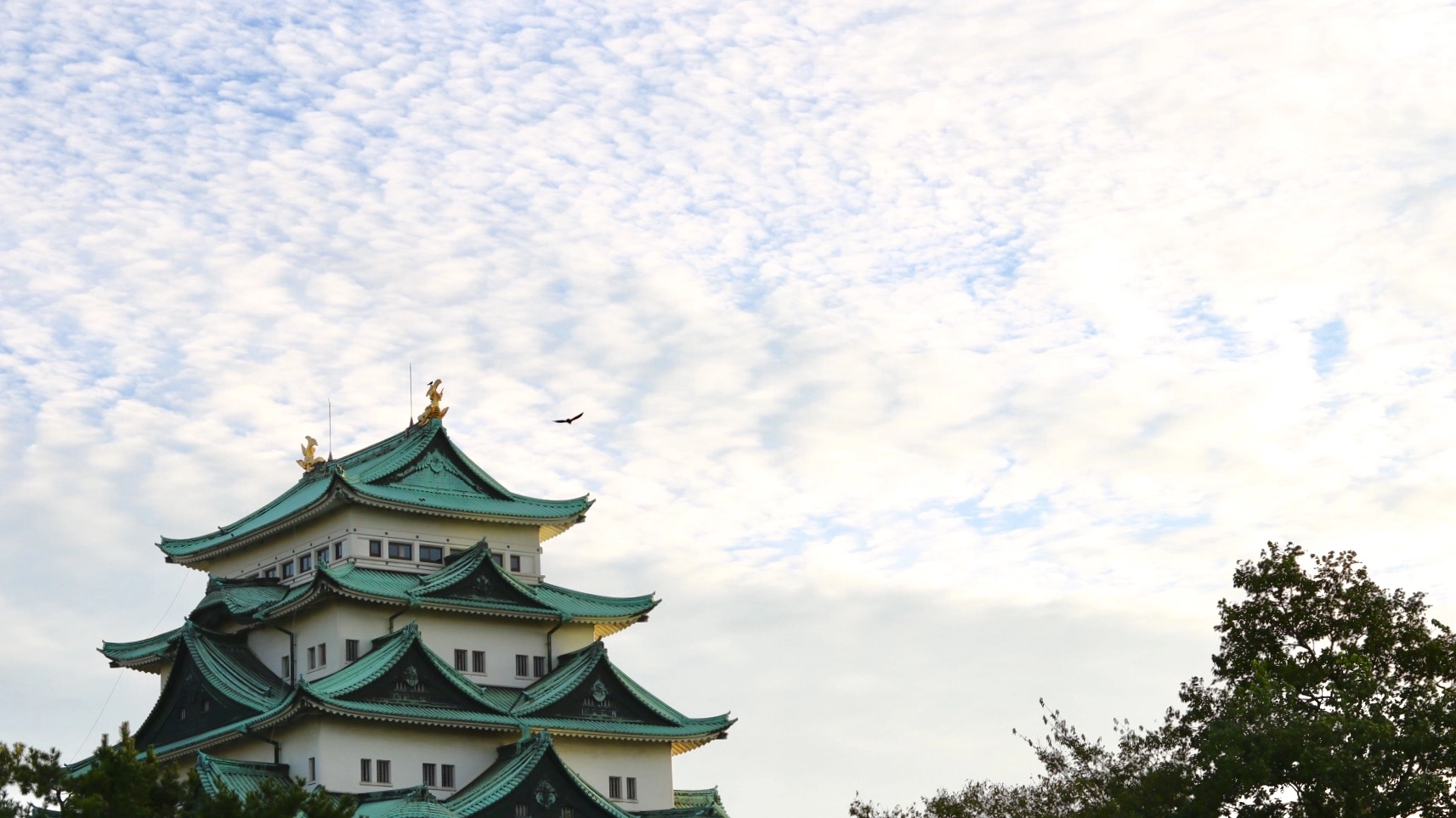 Canon EOS 760D (EOS Rebel T6s / EOS 8000D) + Canon EF 50mm F1.8 STM sample photo. The sky makes me feel small sometimes. photography