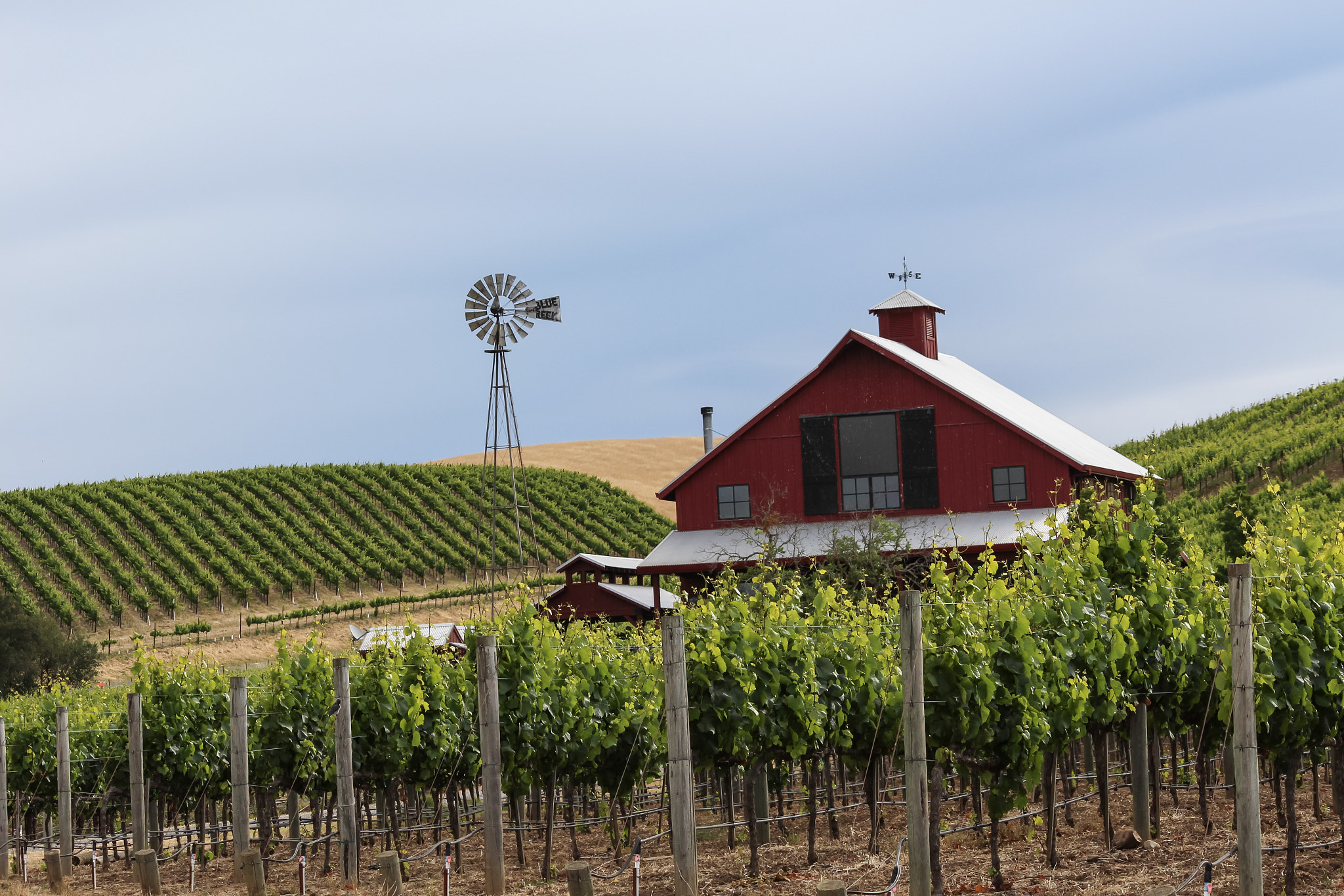 Canon EOS 650D (EOS Rebel T4i / EOS Kiss X6i) sample photo. Red barn in sonoma, ca photography