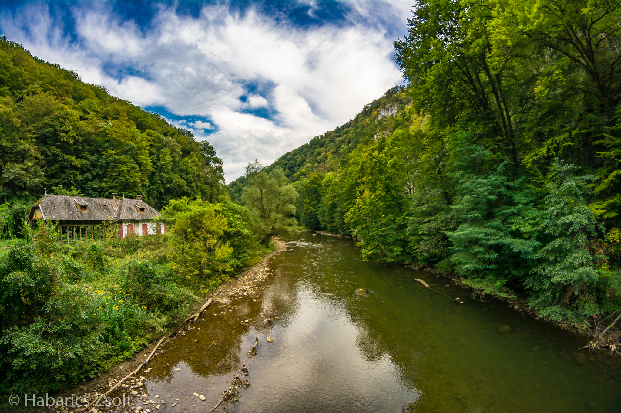 Nikon D5200 + Samyang 8mm F3.5 Aspherical IF MC Fisheye sample photo. Lost in the forest photography