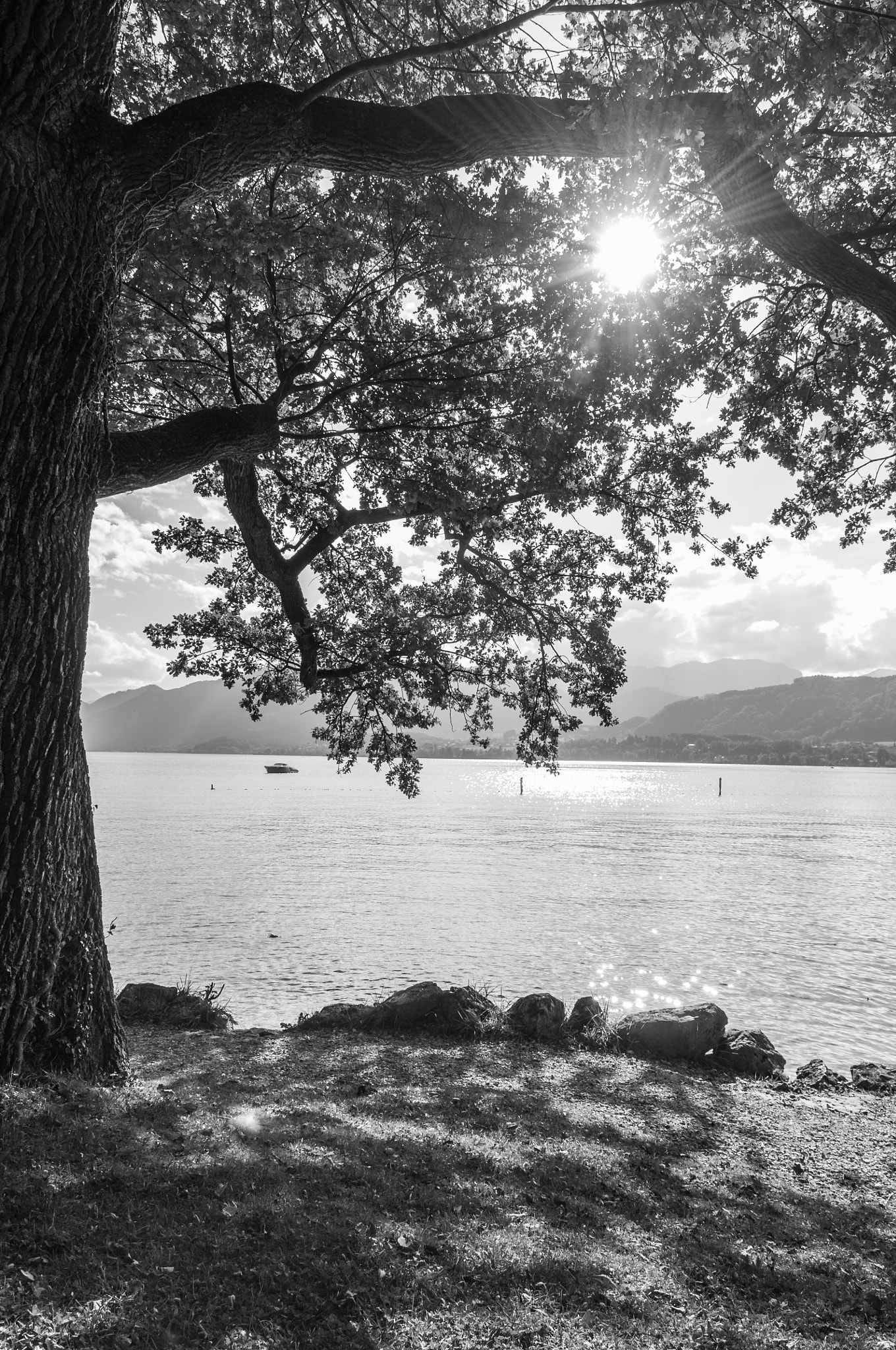 Sigma 17-70mm F2.8-4 DC Macro OS HSM | C sample photo. Toskanapark am traunsee photography