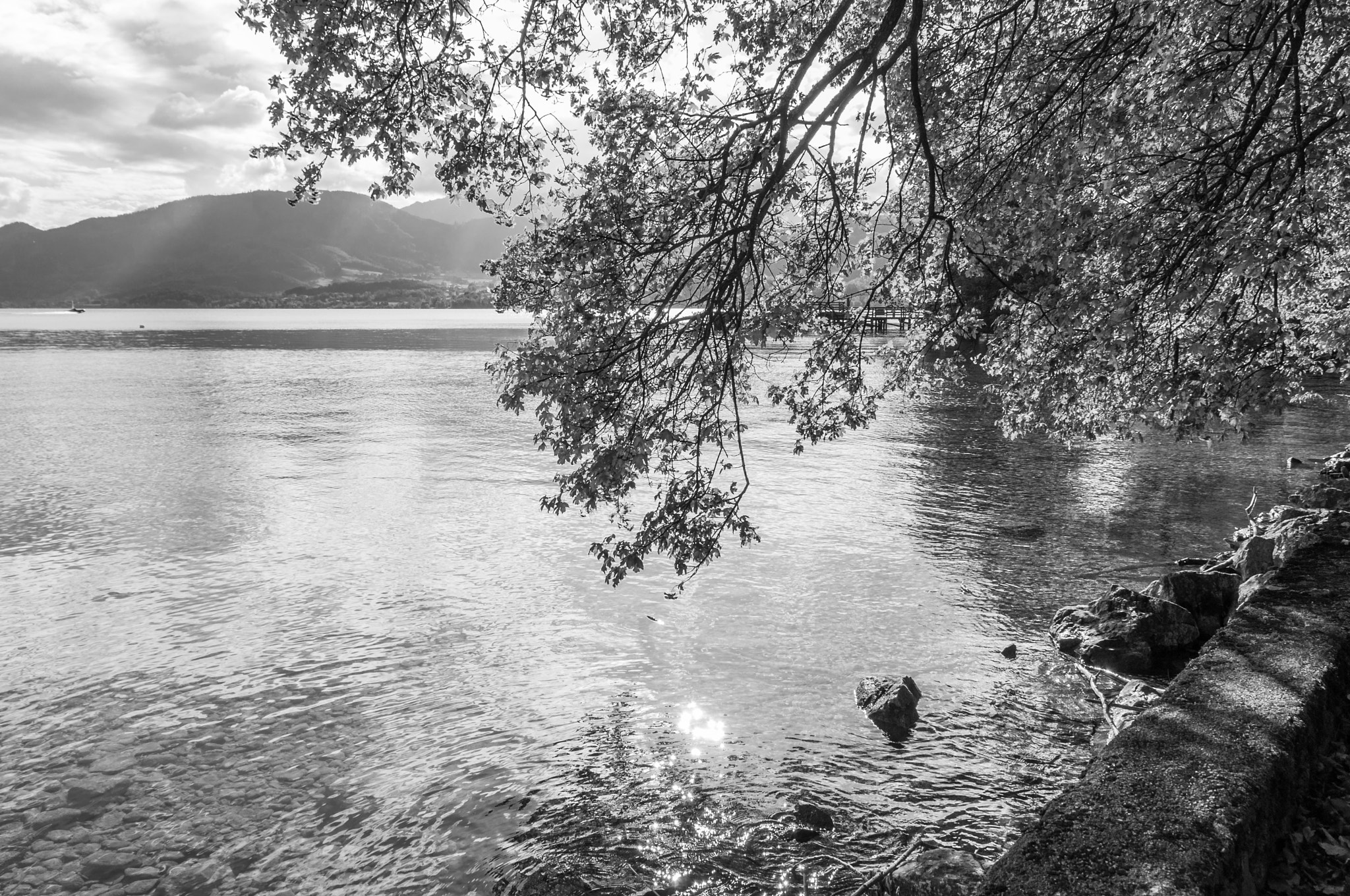 Sigma 17-70mm F2.8-4 DC Macro OS HSM | C sample photo. Toskanapark am traunsee photography