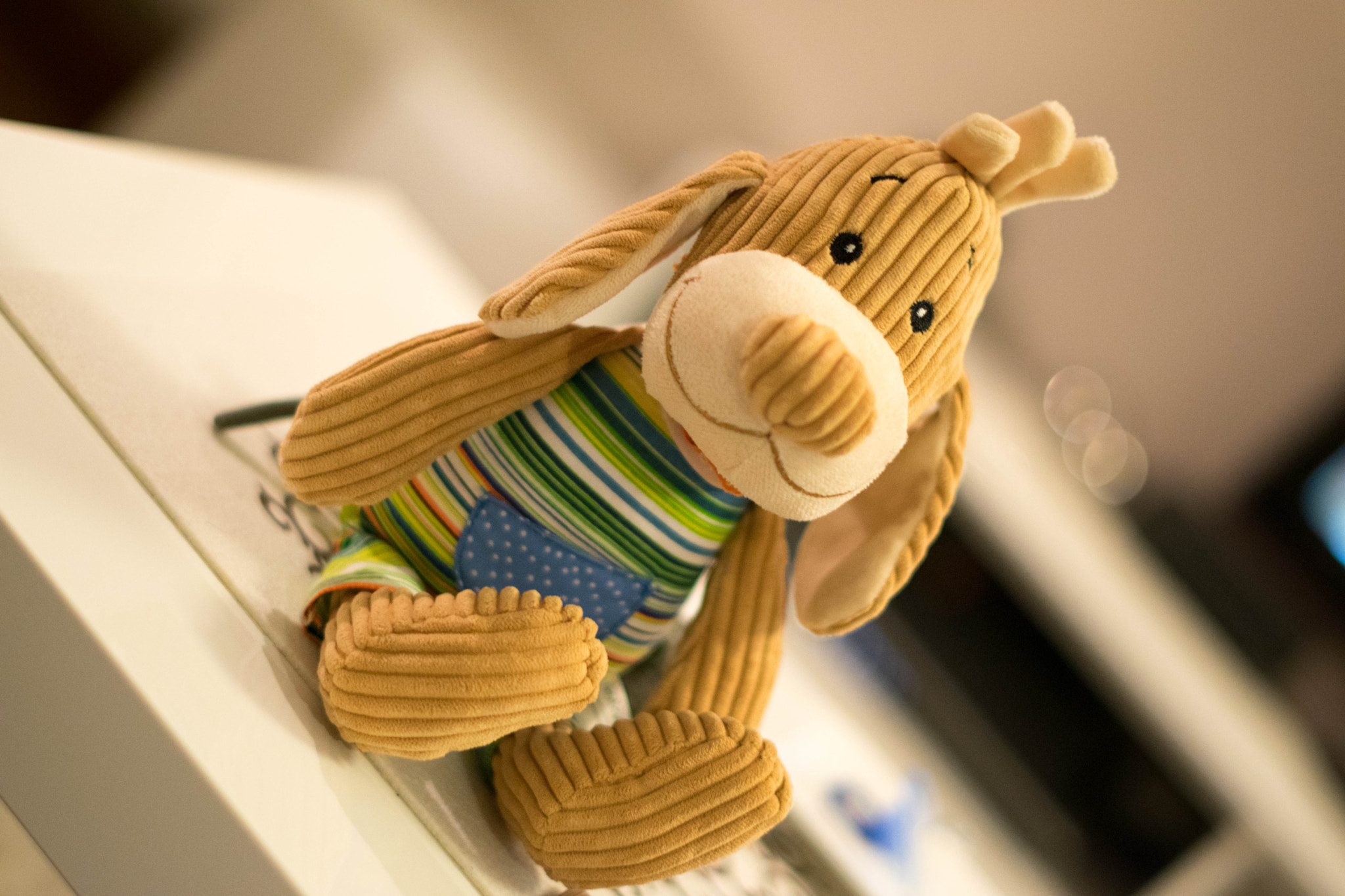 Nikon D5300 + Nikon AF-S Nikkor 50mm F1.4G sample photo. Plushie - dog photography