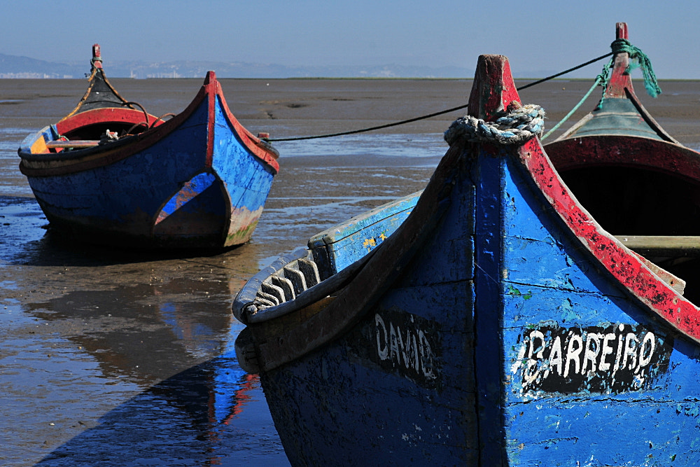 Nikon D300 + Manual Lens No CPU sample photo. Brothers in mud photography