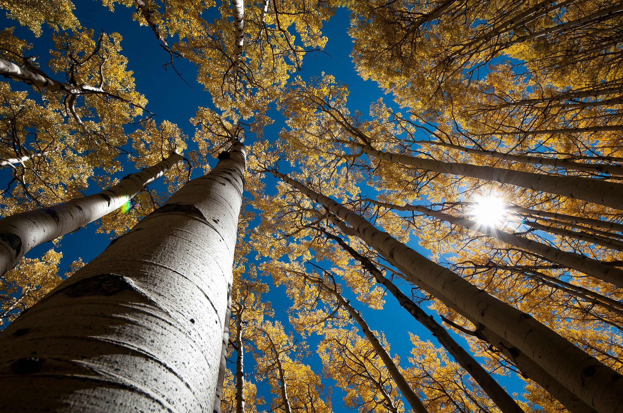 Sigma 8-16mm F4.5-5.6 DC HSM sample photo