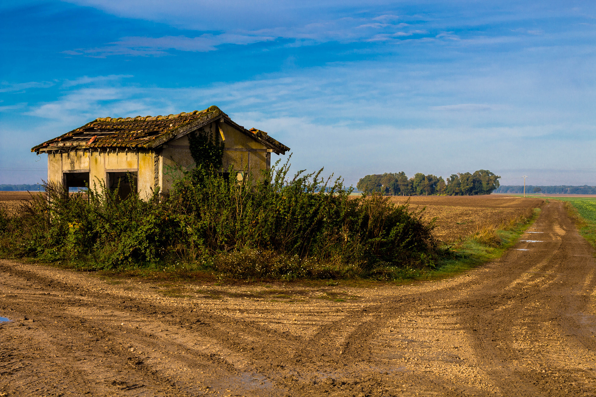 Canon EOS 700D (EOS Rebel T5i / EOS Kiss X7i) + Canon EF 40mm F2.8 STM sample photo. Maison la chapelle photography
