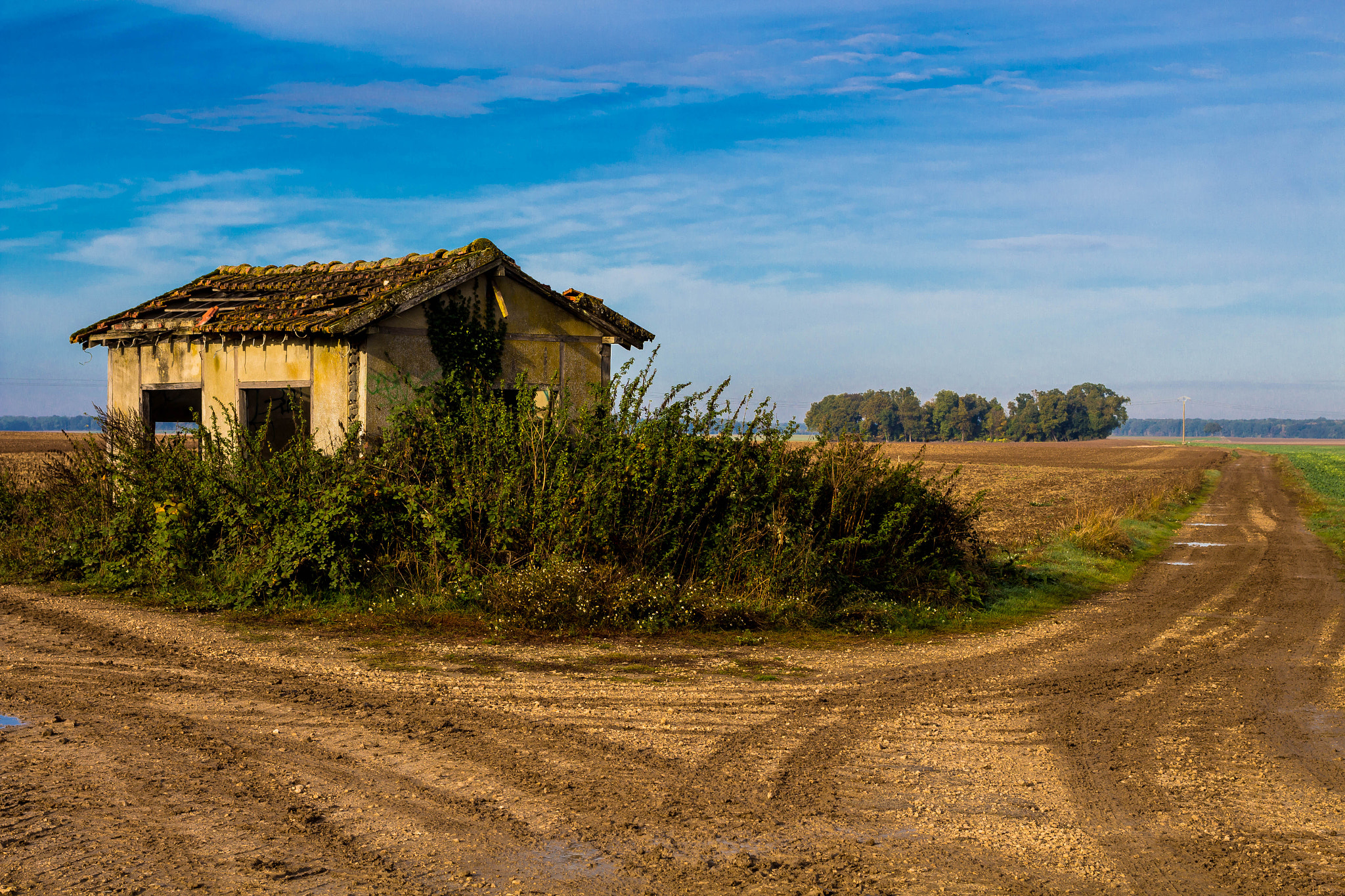 Canon EOS 700D (EOS Rebel T5i / EOS Kiss X7i) sample photo. Maison la chapelle photography