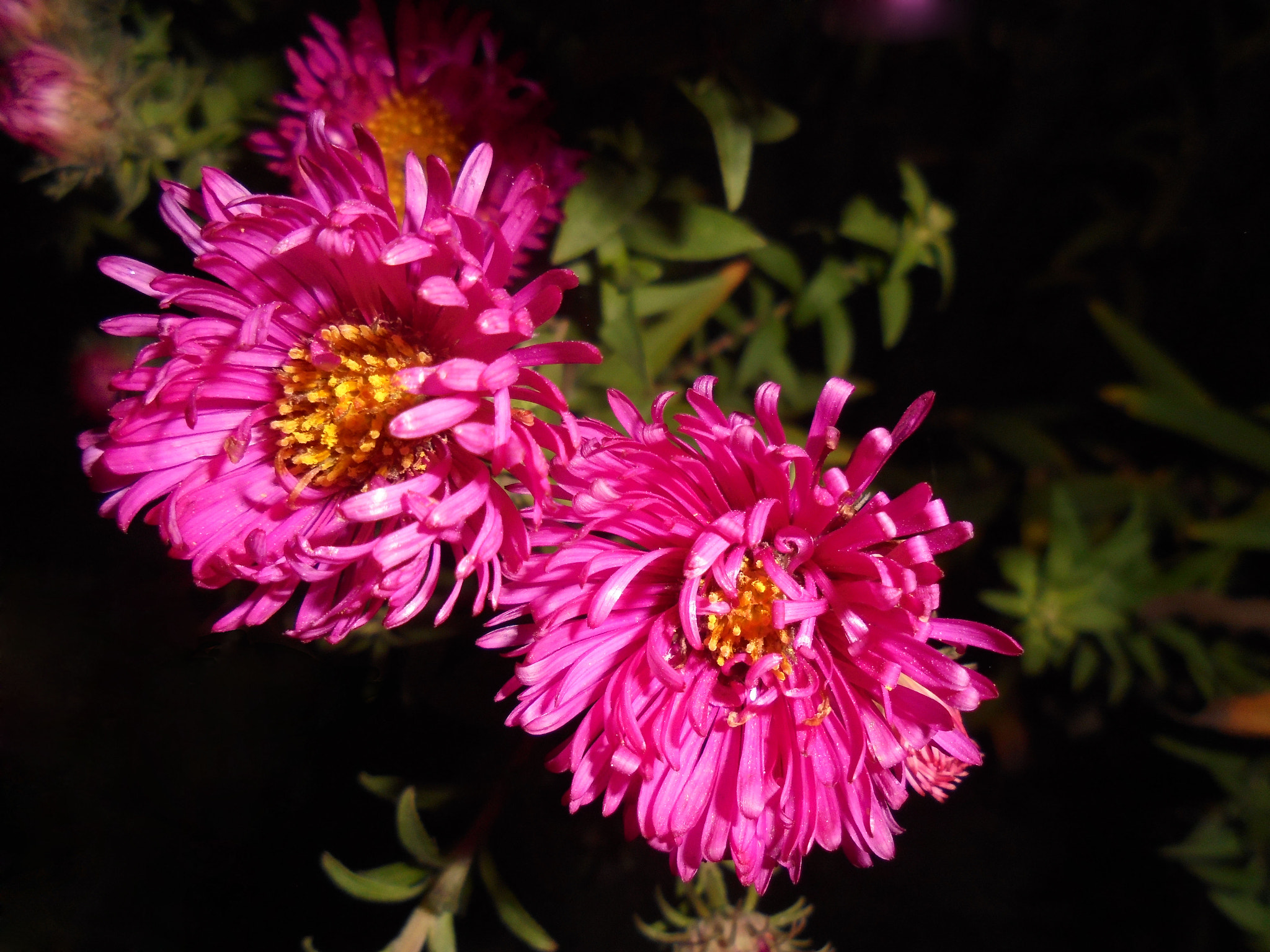 Sony Cyber-shot DSC-W810 sample photo. Dsc photography