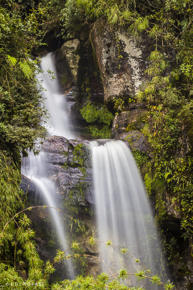 Canon EOS 700D (EOS Rebel T5i / EOS Kiss X7i) + Canon EF 70-200mm F4L USM sample photo. Waterfall photography