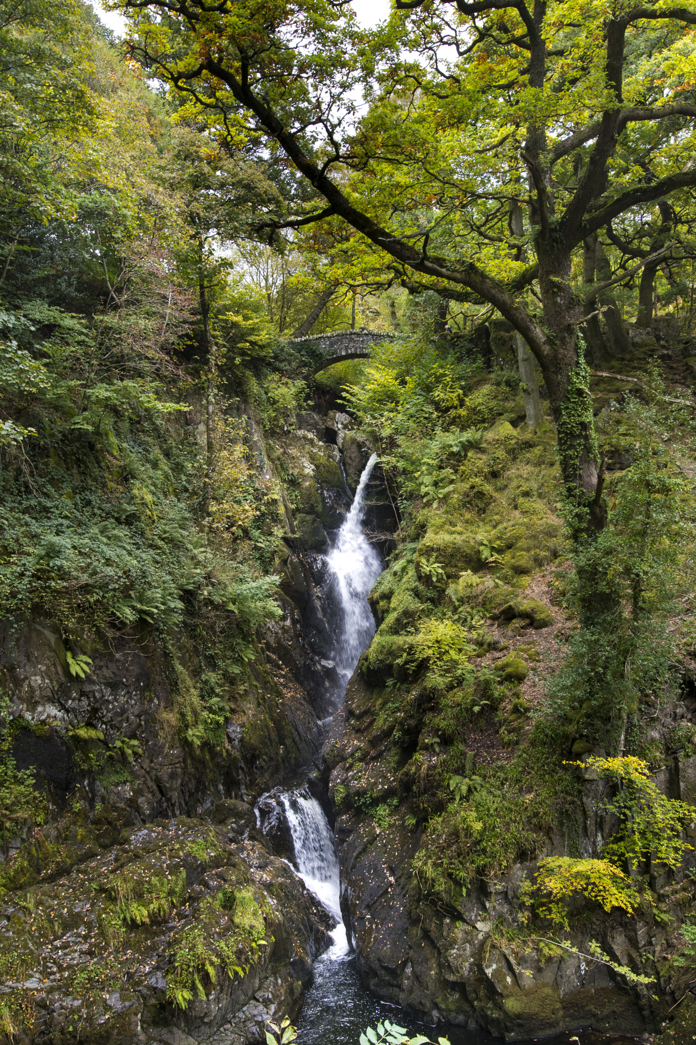 Nikon AF-S Nikkor 14-24mm F2.8G ED sample photo. Aira force photography