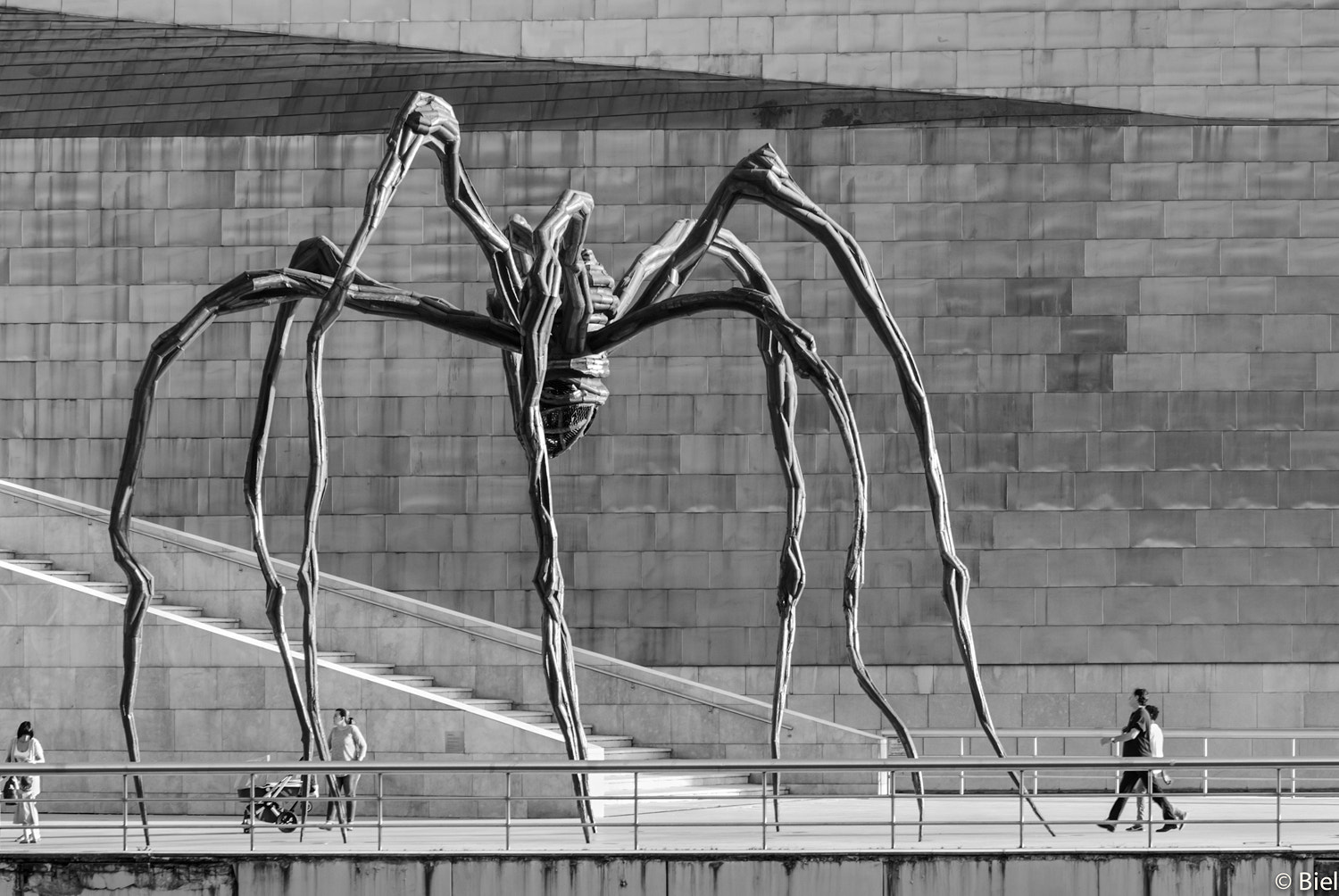 Nikon D80 sample photo. Not affraid of ... photography