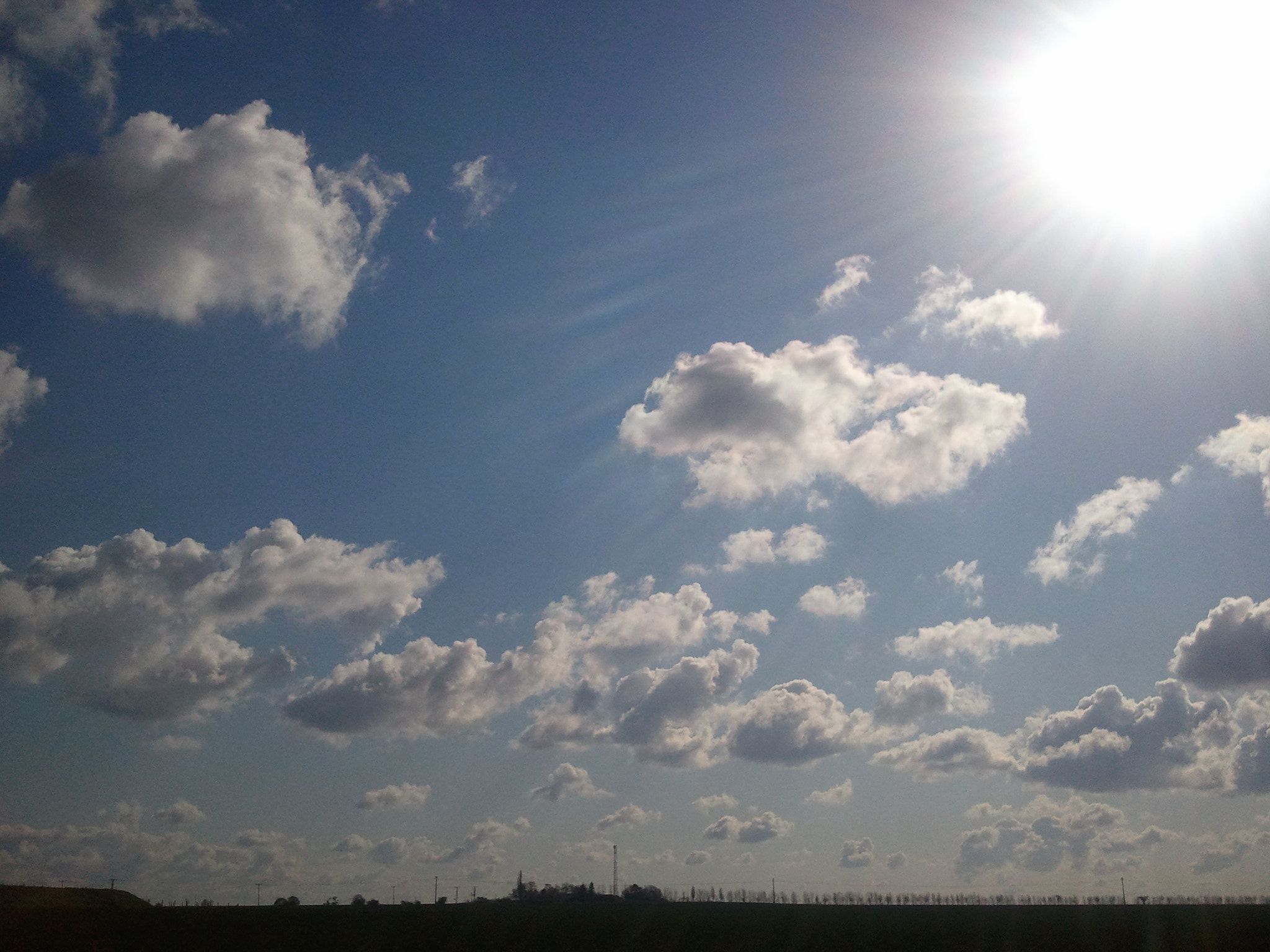 Samsung Galaxy S sample photo