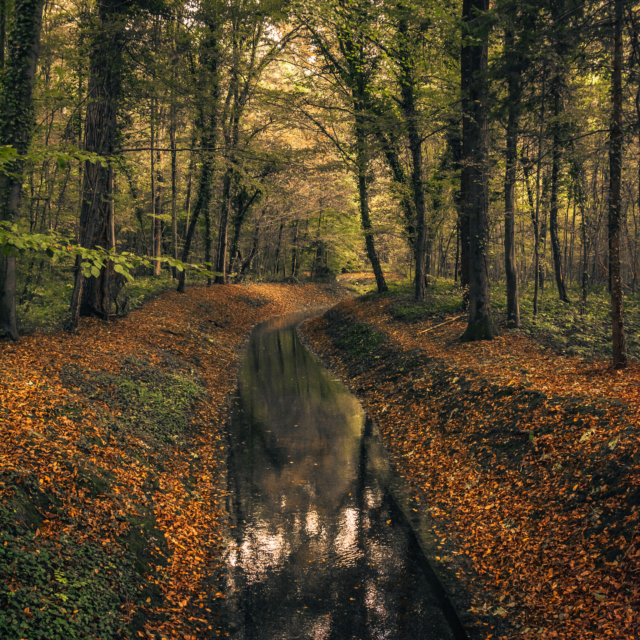 Nikon D7100 sample photo. Autumn photography