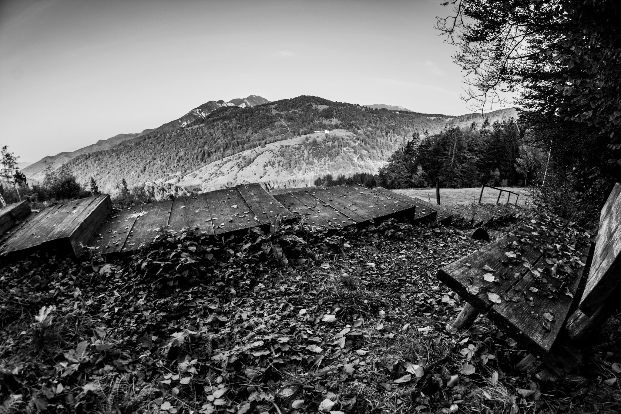Samyang 8mm F3.5 Aspherical IF MC Fisheye sample photo. Dsc photography