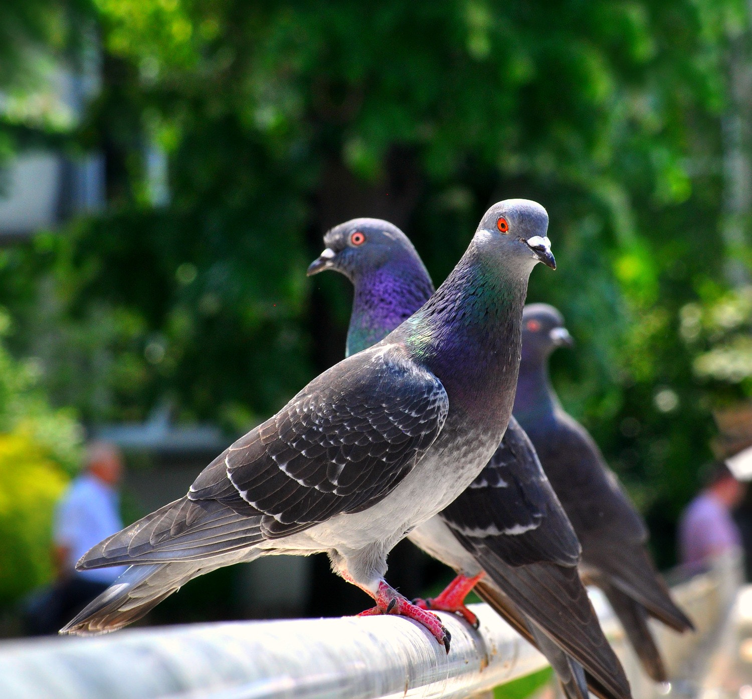 Nikon D5000 sample photo. Prcu photography