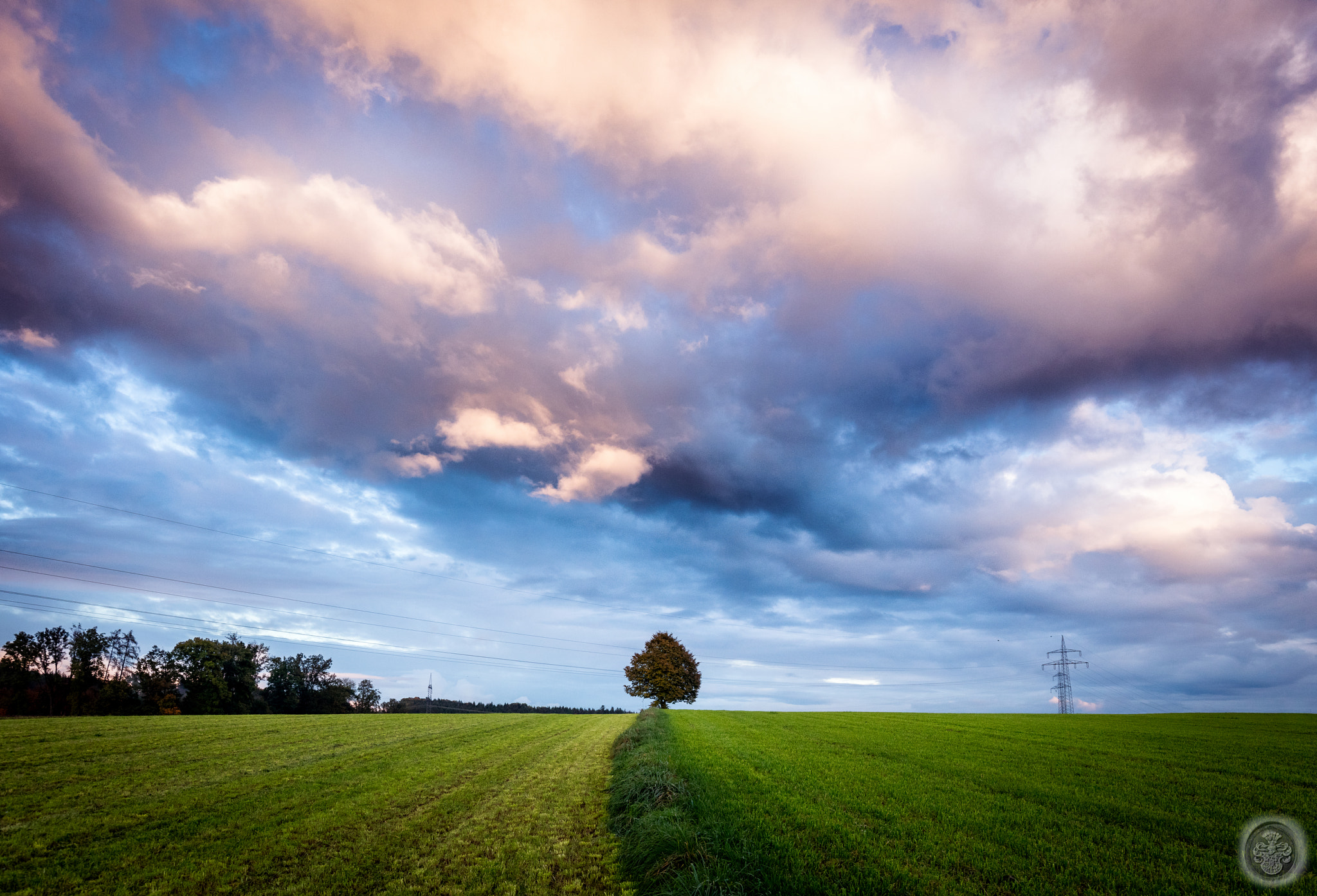 Canon EOS 5DS + Canon EF 16-35mm F4L IS USM sample photo. ...lone tree... photography