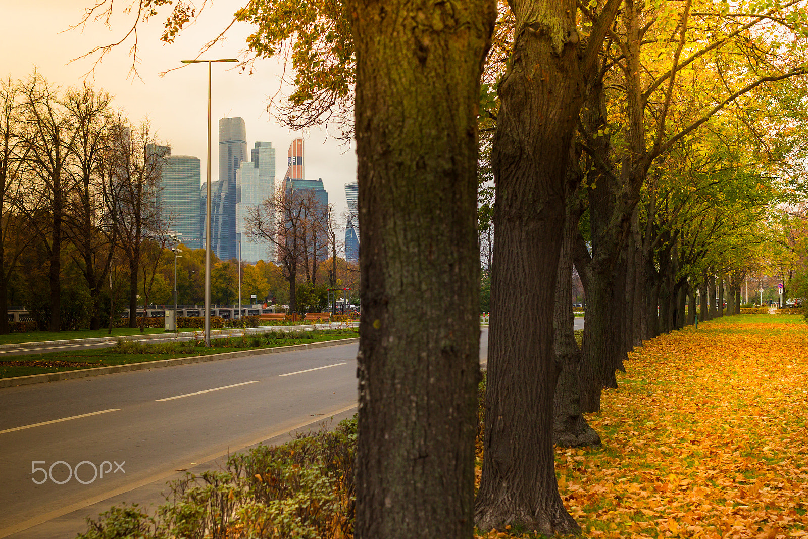 Canon EOS-1D Mark IV sample photo. Moscow autumn with golden foliage and views of the skyscrapers o photography