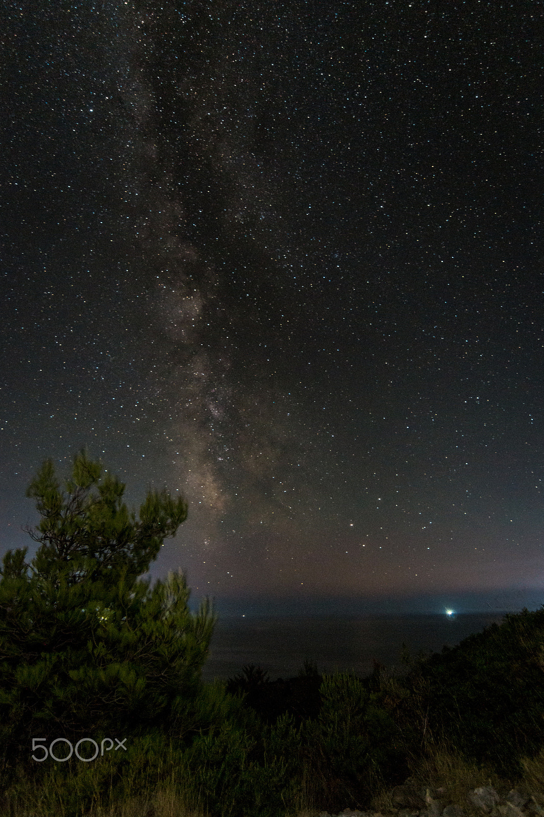Sony SLT-A58 + 20mm F2.8 sample photo. Come and see the milkyway photography