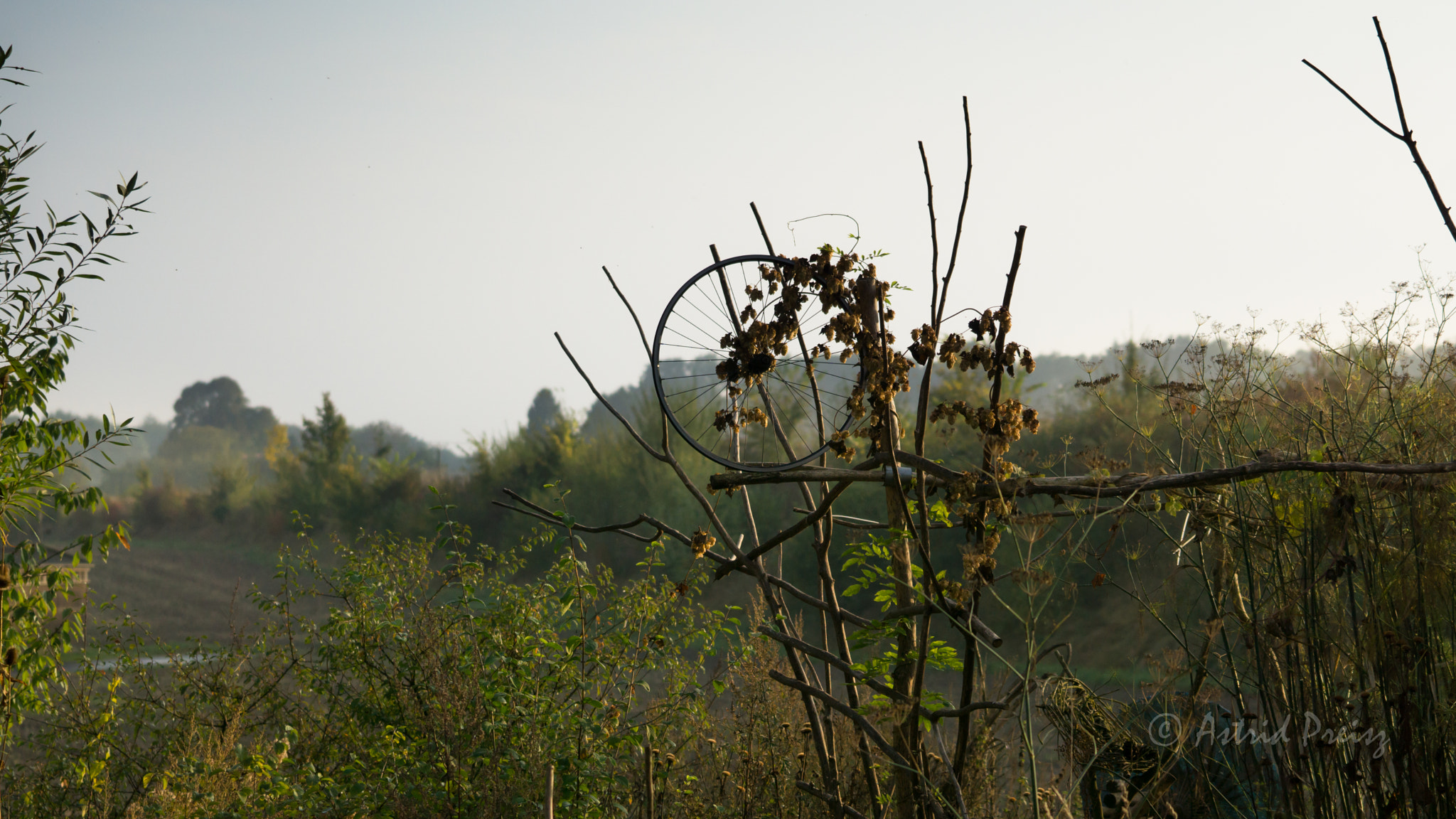 Sony FE 70-300mm F4.5-5.6 G OSS sample photo. Wheel of time photography
