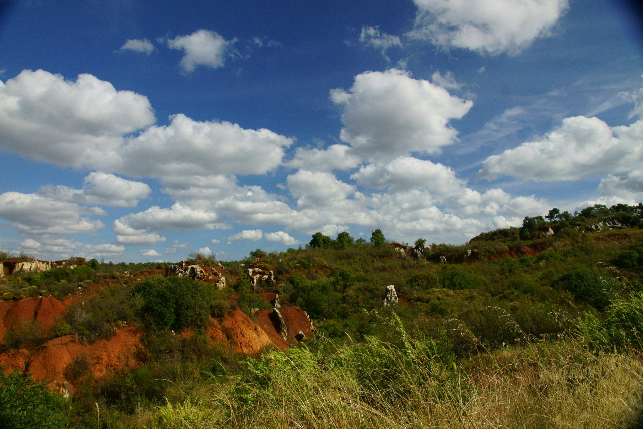 Sony DT 16-105mm F3.5-5.6 sample photo. Clouds photography