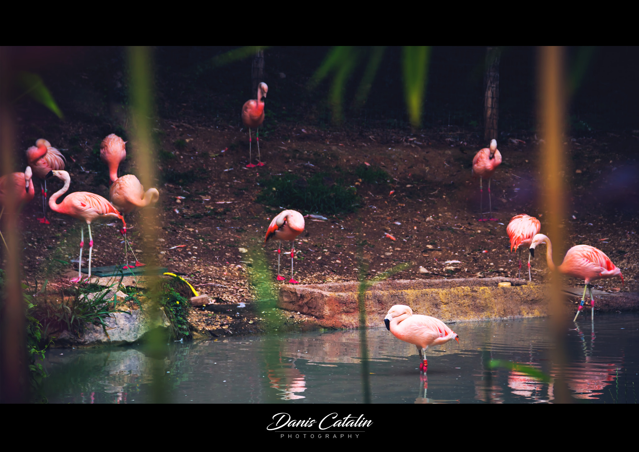 Canon EOS 100D (EOS Rebel SL1 / EOS Kiss X7) sample photo. Perfect camouflage photography