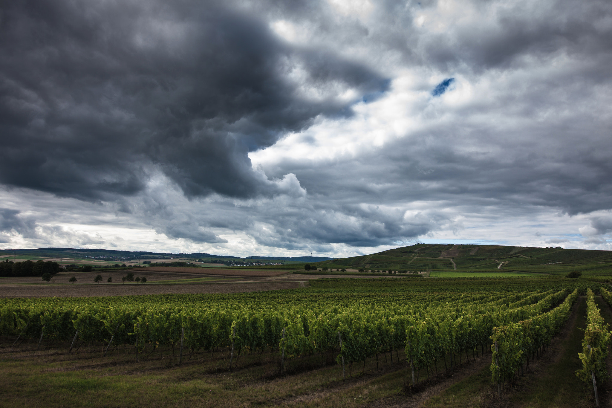 Canon EOS 50D + Sigma 12-24mm F4.5-5.6 II DG HSM sample photo. The land of vineyards ii photography