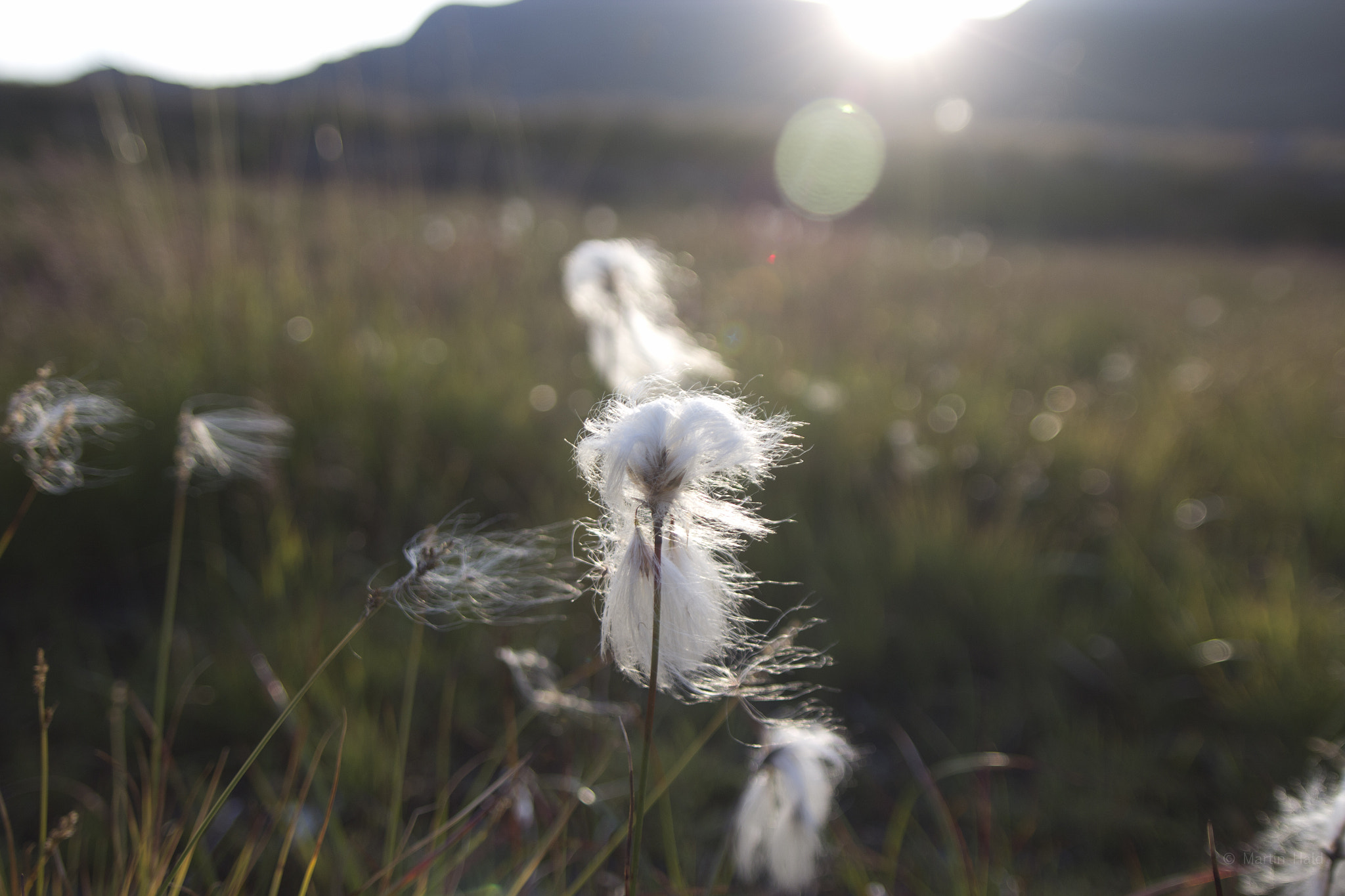 Canon EOS 600D (Rebel EOS T3i / EOS Kiss X5) + Sigma 20mm EX f/1.8 sample photo. Norway photography