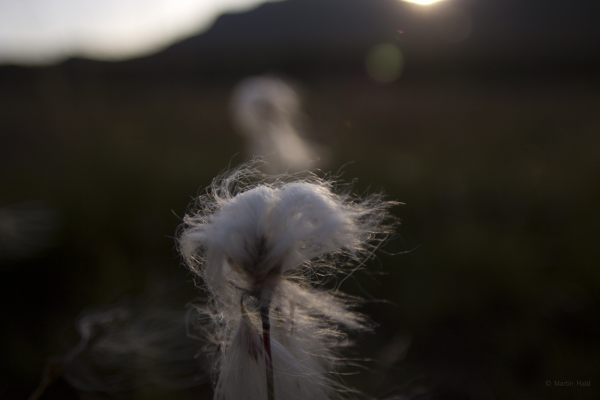 Canon EOS 600D (Rebel EOS T3i / EOS Kiss X5) + Sigma 20mm EX f/1.8 sample photo. Norway photography