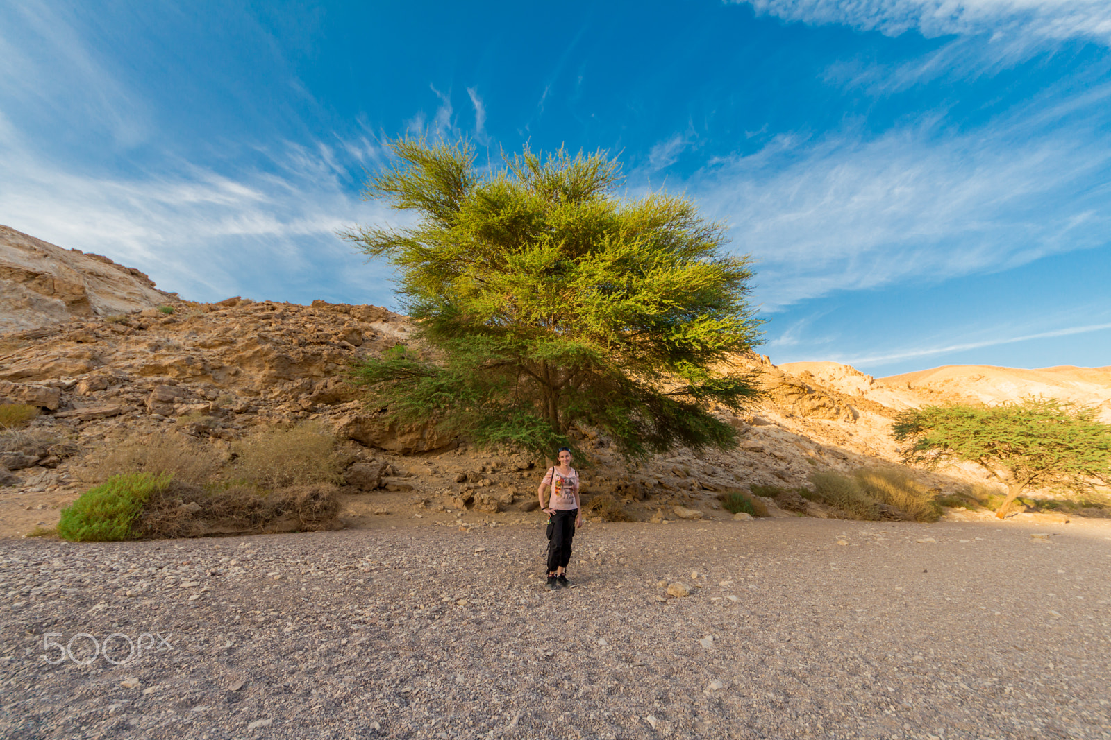 Canon EOS 700D (EOS Rebel T5i / EOS Kiss X7i) + Sigma 8-16mm F4.5-5.6 DC HSM sample photo. Girl in the desert photography
