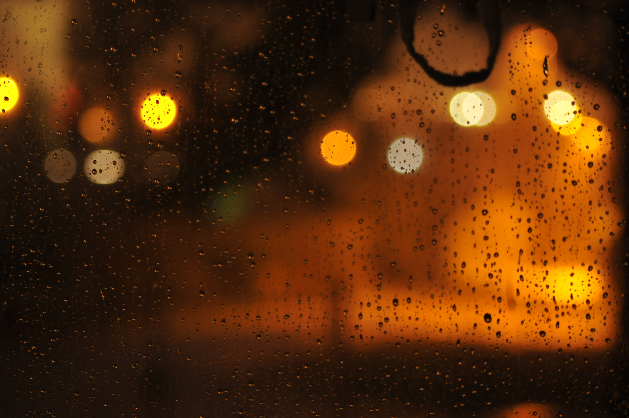 Nikon D300S + AF Nikkor 70-210mm f/4-5.6 sample photo. The silence of rain autumn  photography