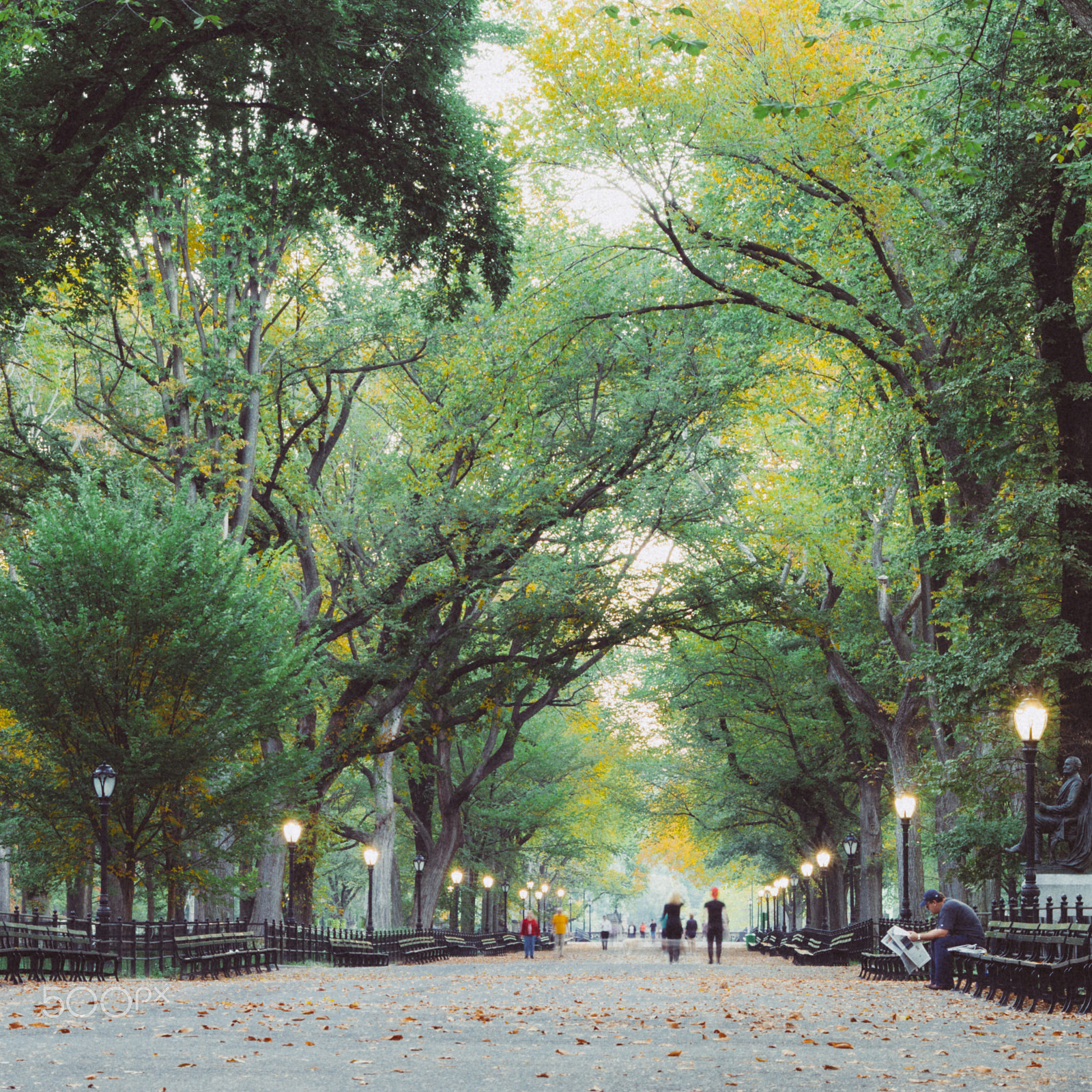 ZEISS Makro-Planar T* 50mm F2 sample photo. Central park the mall photography
