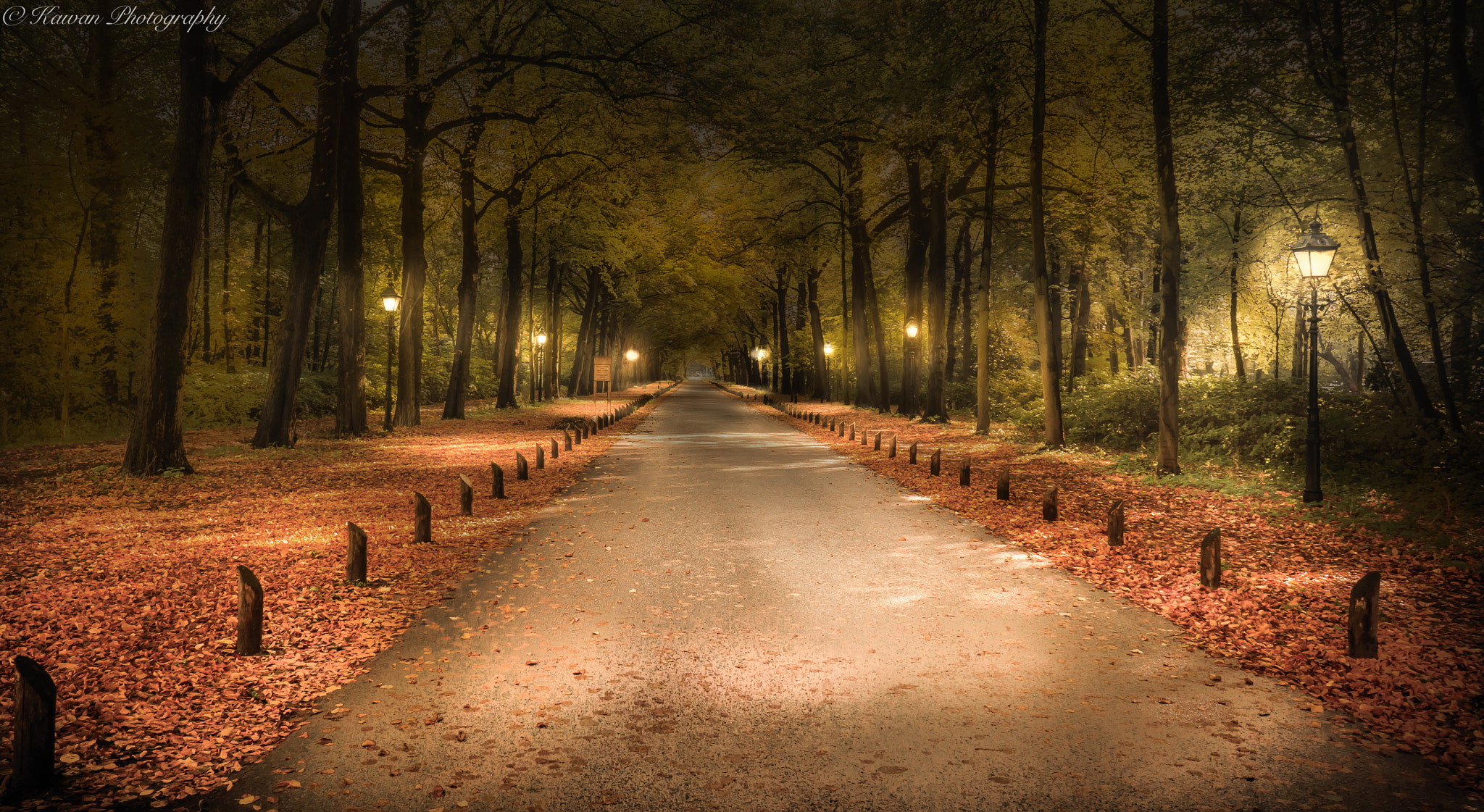 Sony Alpha NEX-7 sample photo. Autumn in night photography