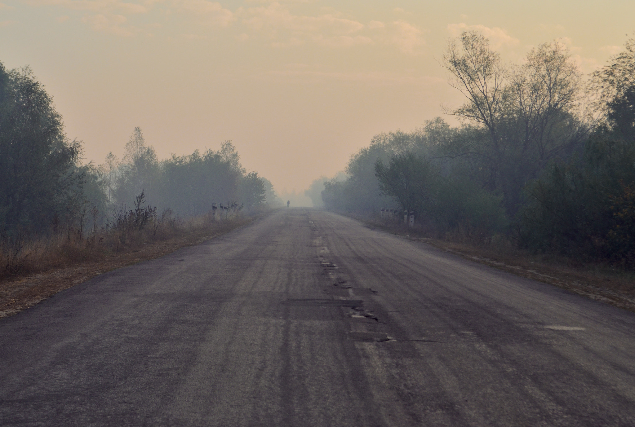 PC Micro-Nikkor 85mm f/2.8D sample photo. Road photography