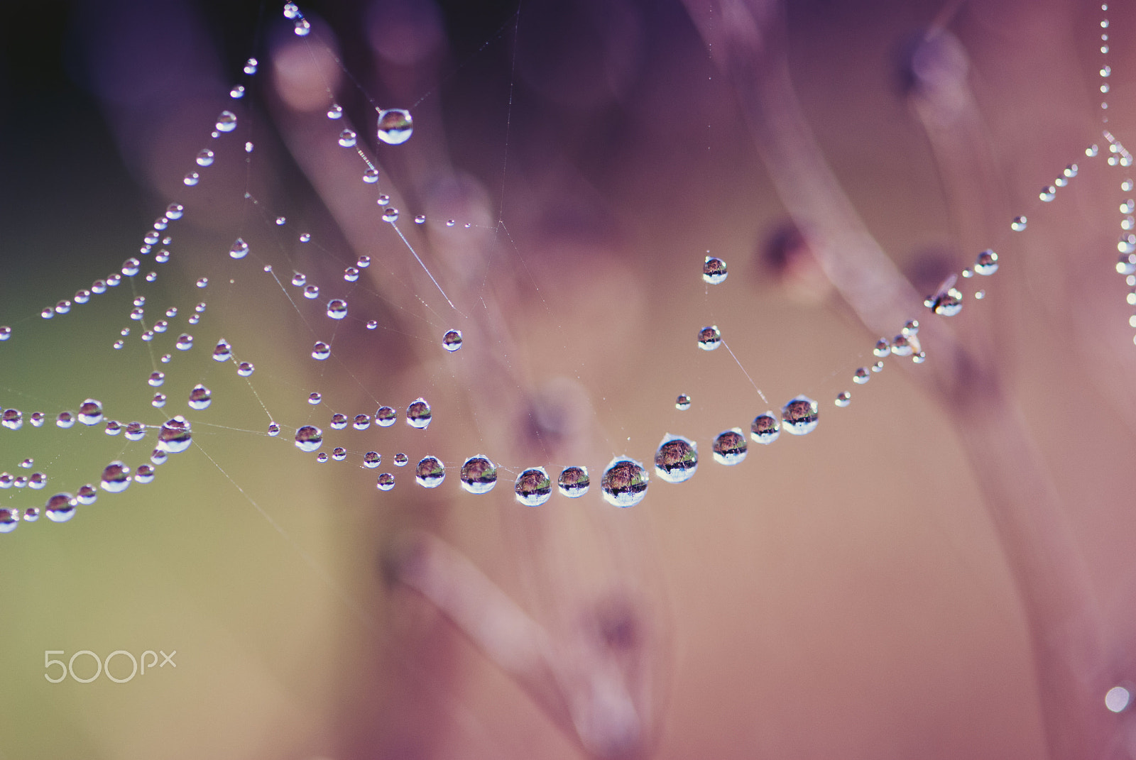 Nikon AF-S Micro-Nikkor 105mm F2.8G IF-ED VR sample photo. Le monde à l'envers photography