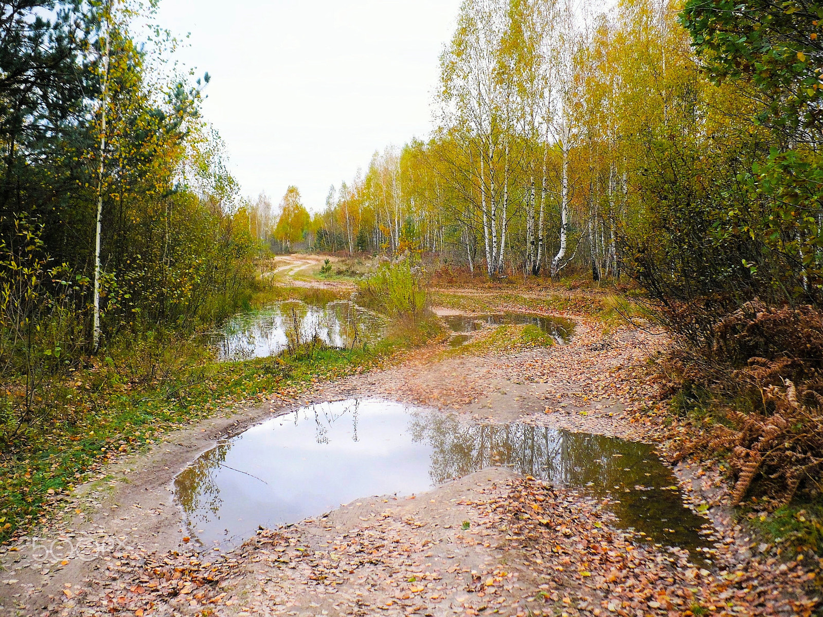 Panasonic DMC-LZ7 sample photo. Autumn road. Осенняя дорога. photography