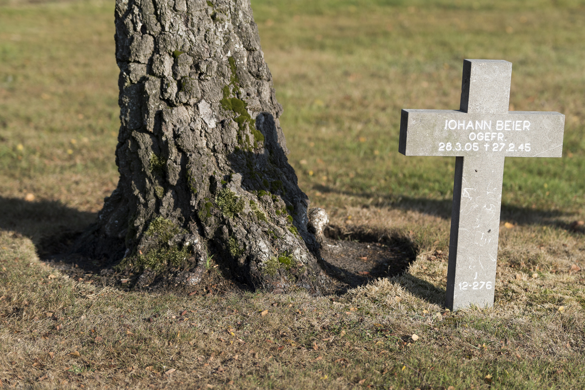 Pentax K-1 sample photo. Duitse militaire begraafplaats in ysselsteyn photography