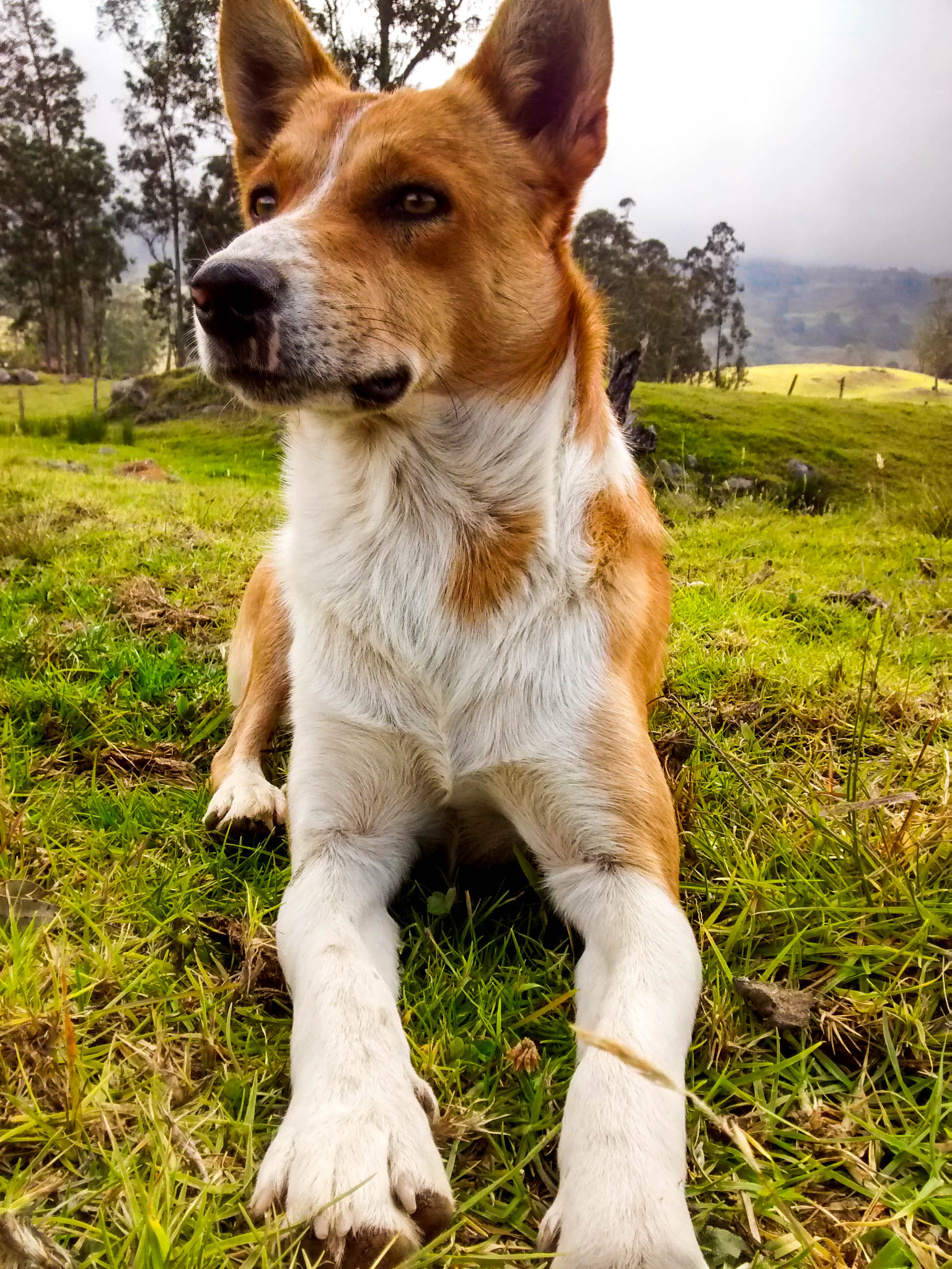Motorola Moto G with 4G LTE (1st Gen) sample photo. My friend - mr.cusumbo photography