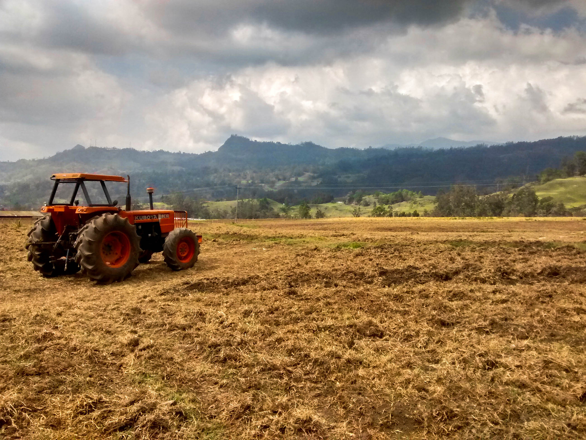 Motorola Moto G with 4G LTE (1st Gen) sample photo. Agriculture photography