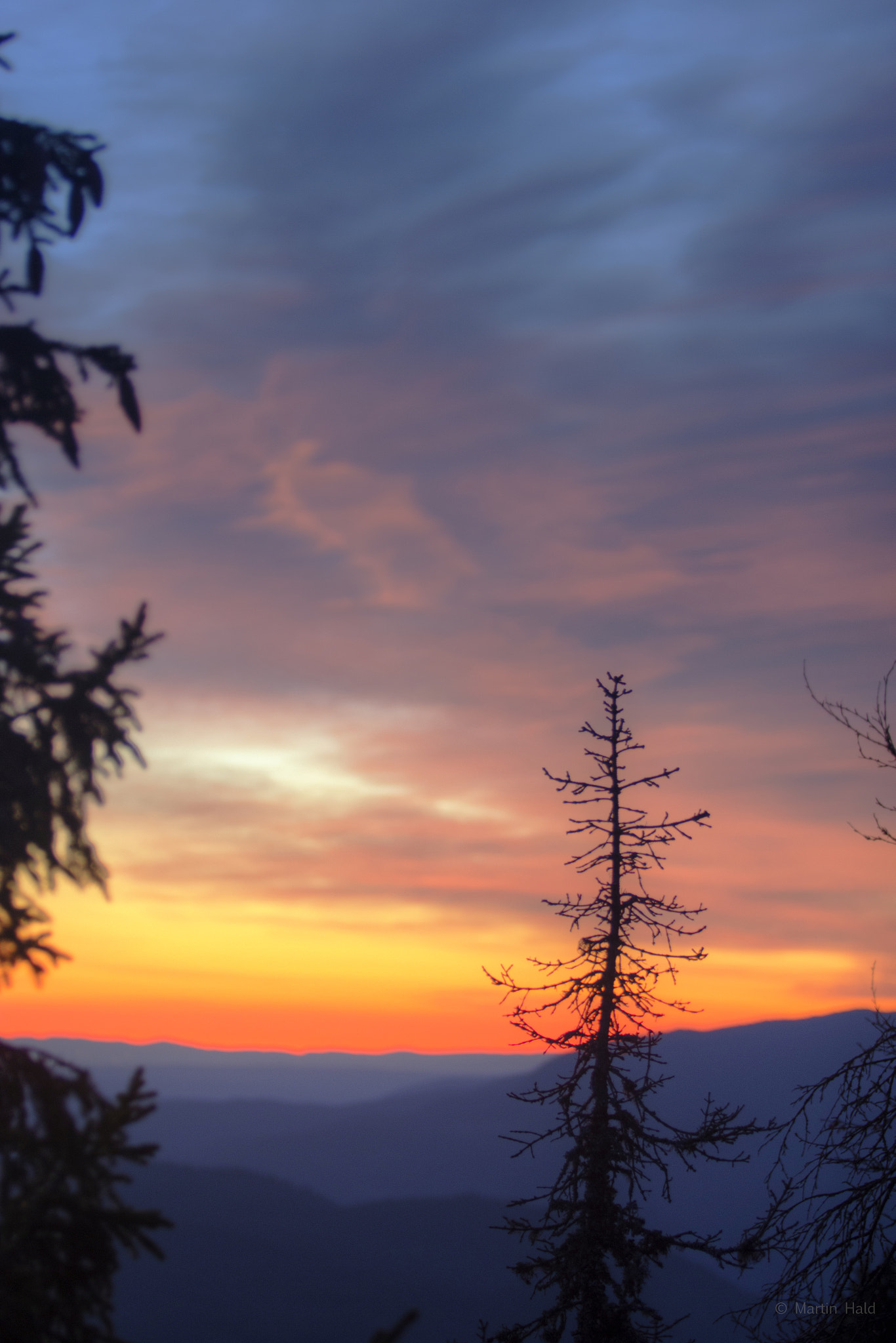 Canon EF 70-200mm F2.8L USM sample photo. Hedalen photography