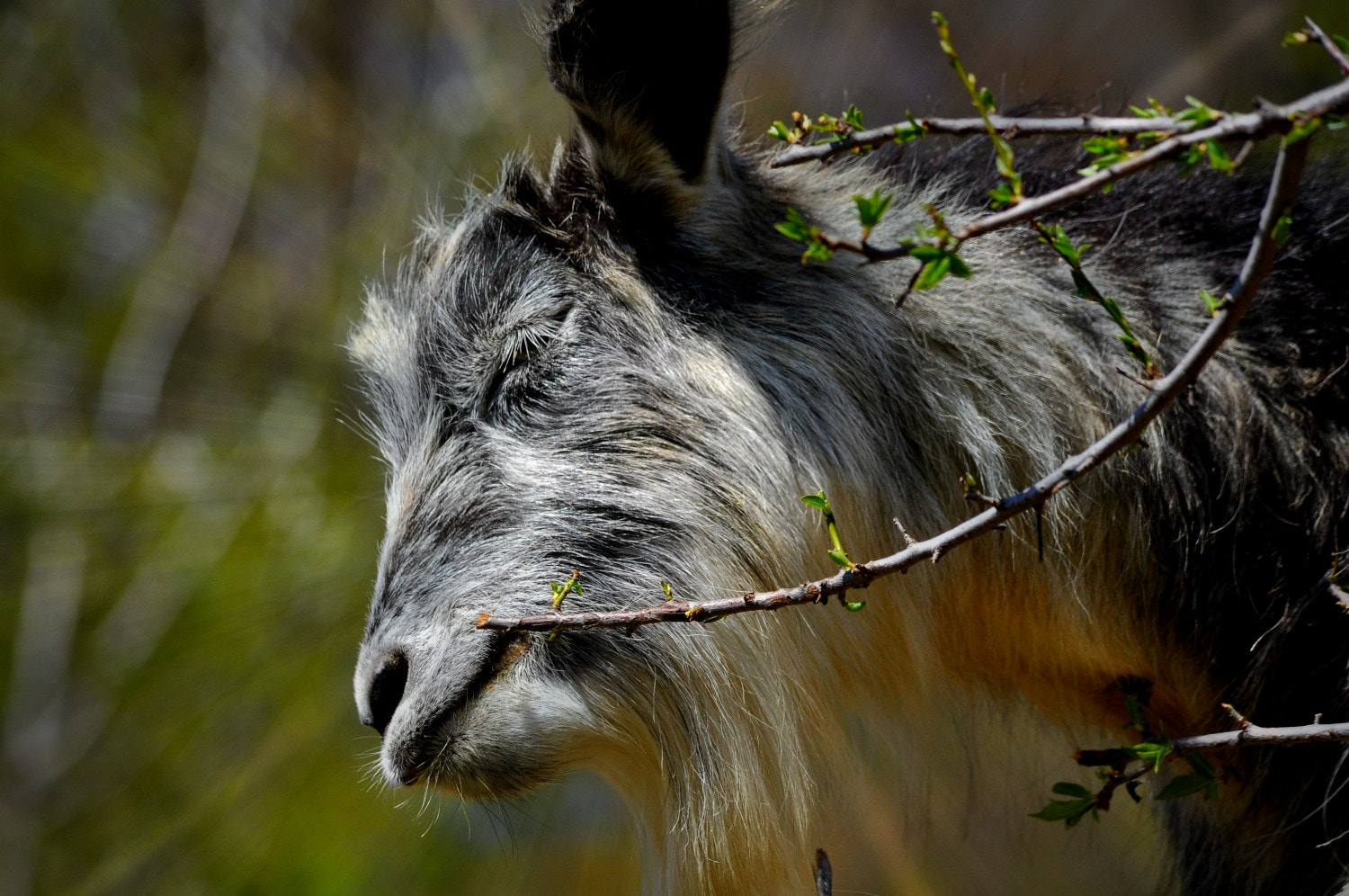 Nikon D5000 sample photo. Cped photography
