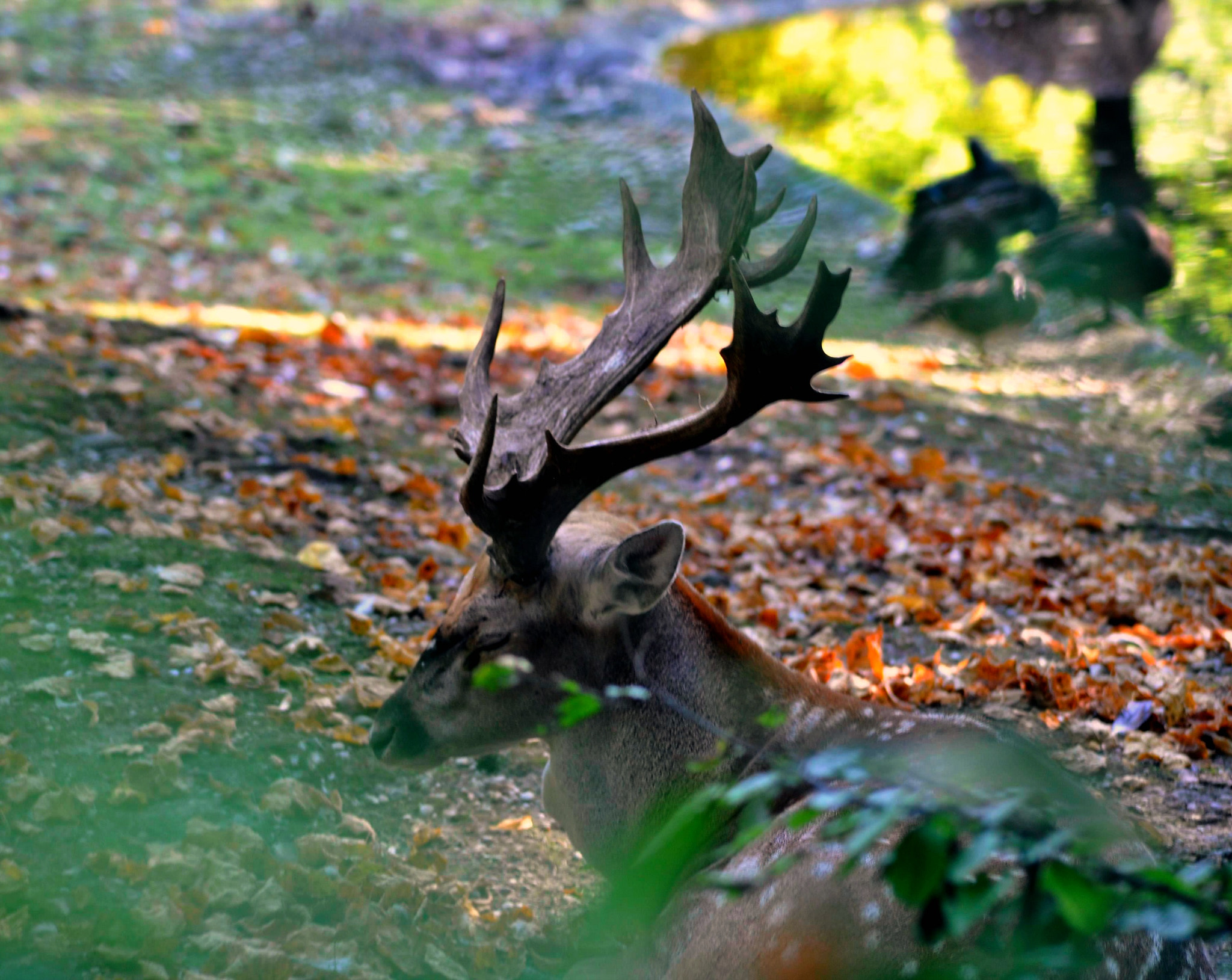 Nikon D5000 sample photo. Crb ed photography