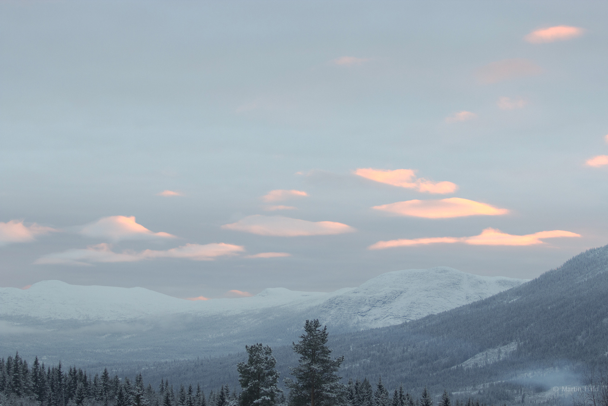 Canon EF 70-200mm F2.8L USM sample photo. Hedalen photography