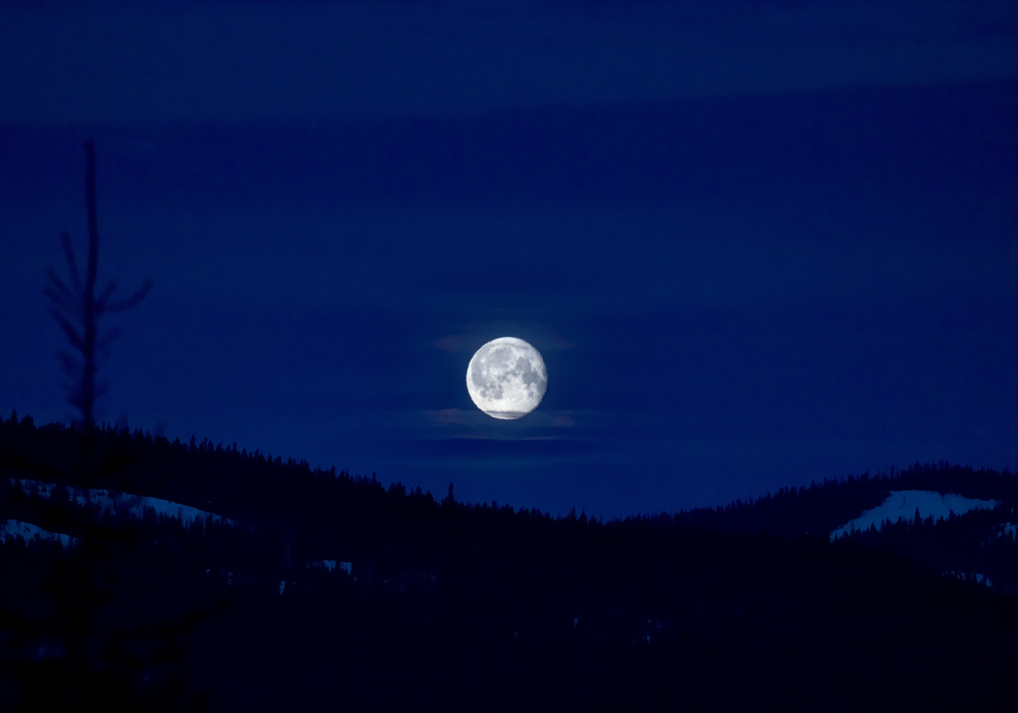Canon EF 70-200mm F2.8L USM sample photo. Hedalen photography