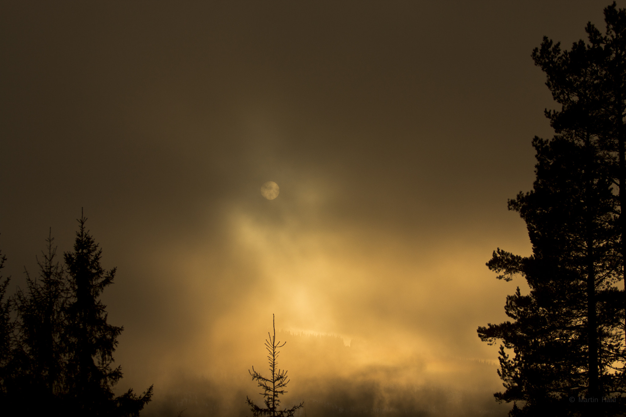 Canon EF 70-200mm F2.8L USM sample photo. Hedalen photography