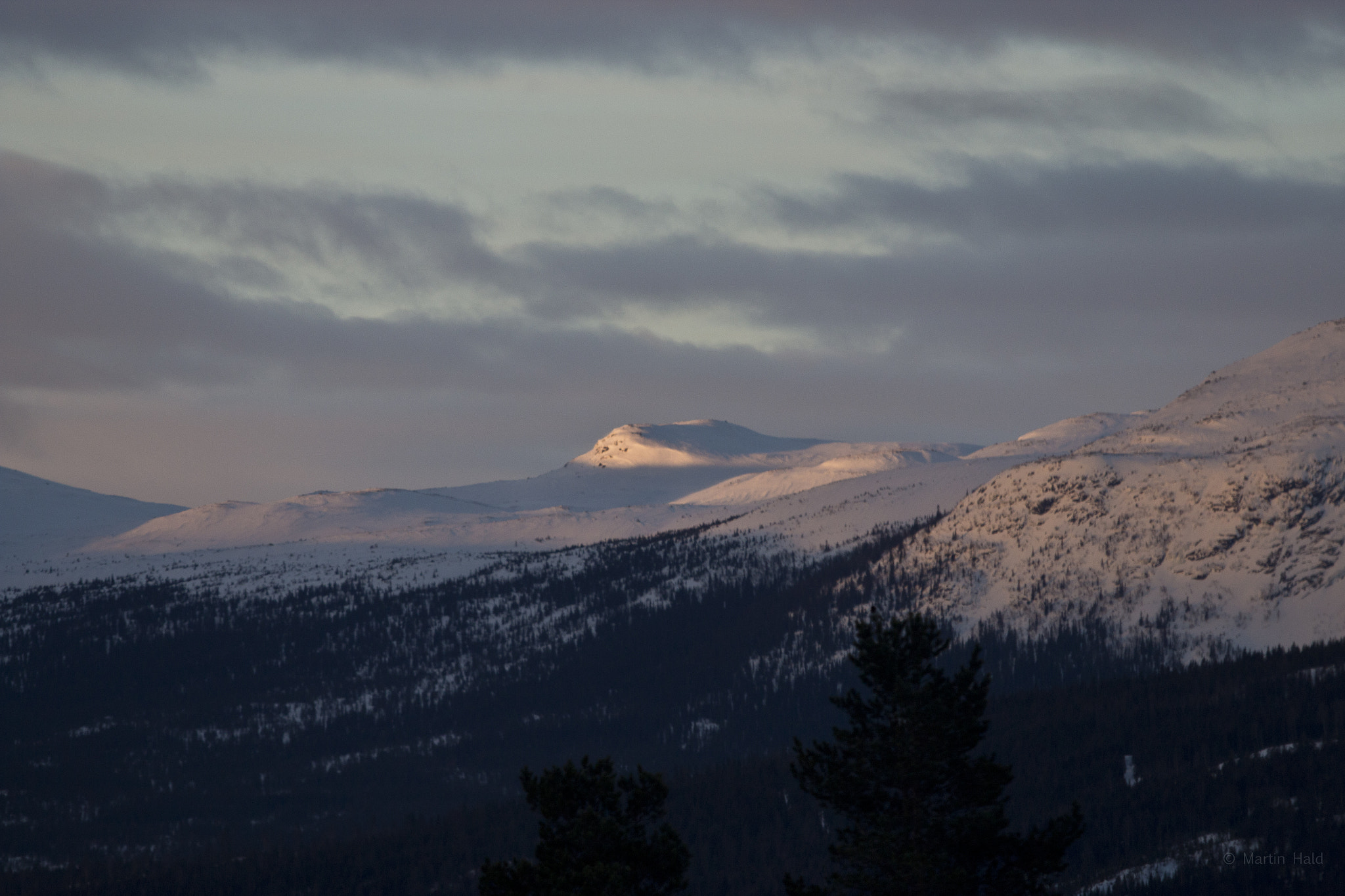 Canon EF 70-200mm F2.8L USM sample photo. Hedalen photography