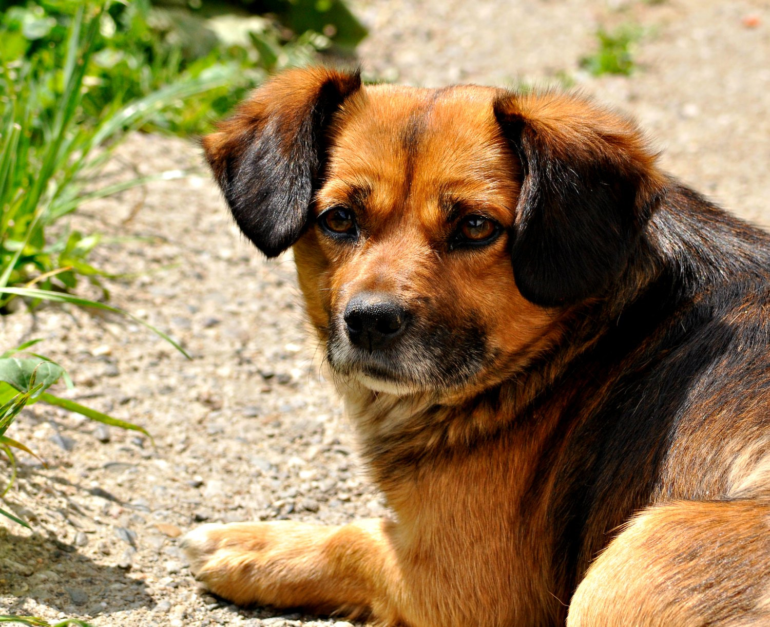 Nikon D5000 sample photo. Ppbub photography