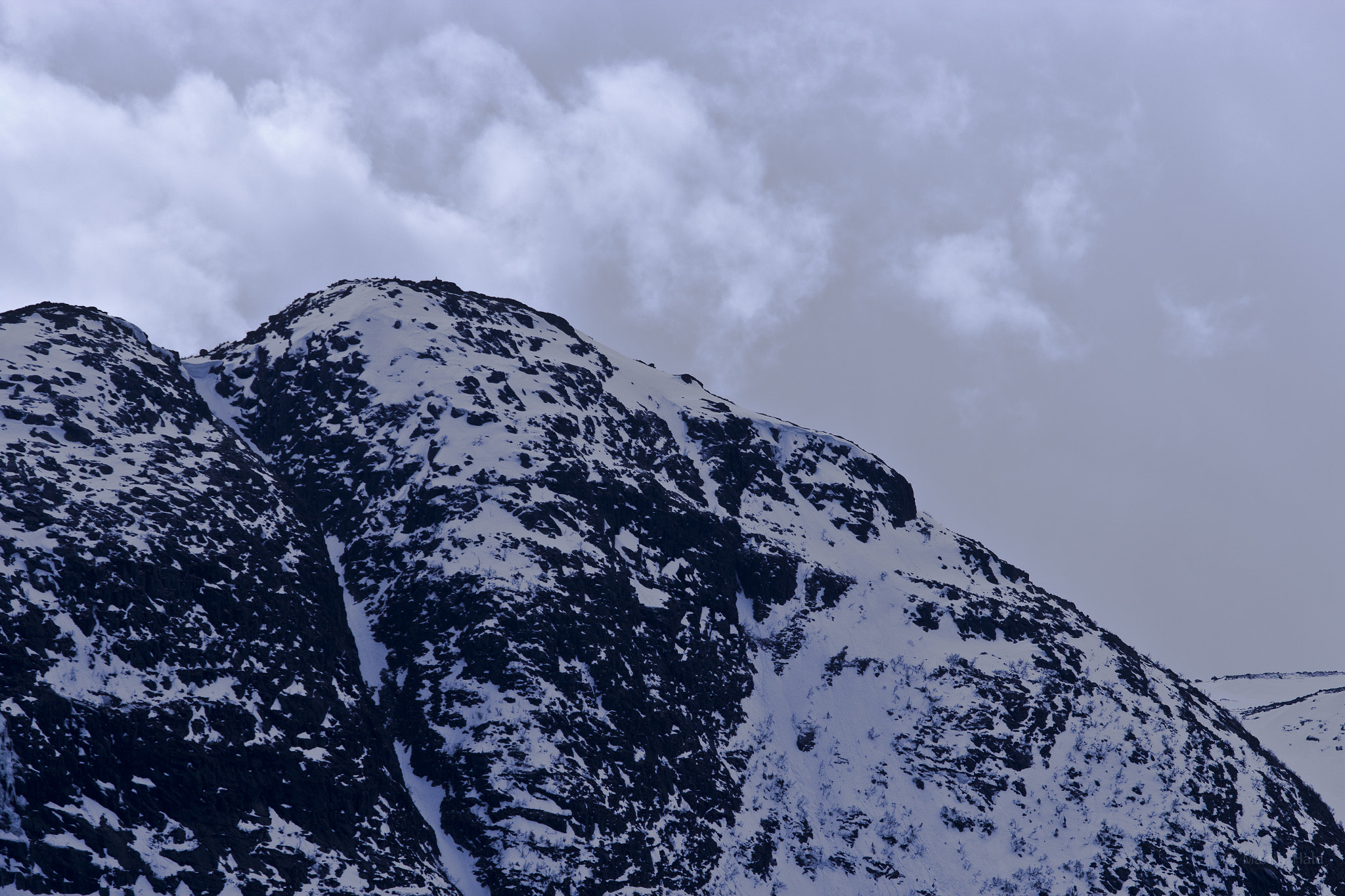 Canon EF 70-200mm F2.8L USM sample photo. Hedalen photography