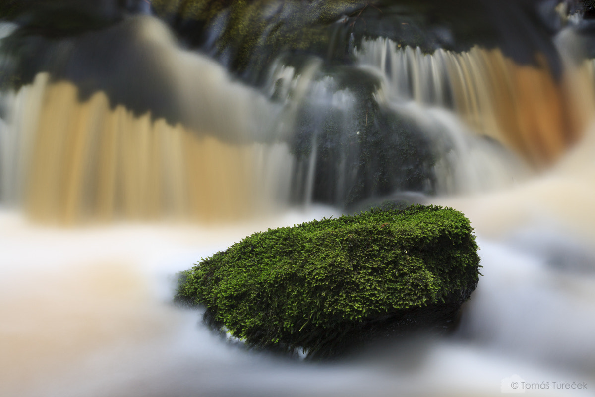 Tamron SP AF 17-50mm F2.8 XR Di II LD Aspherical (IF) sample photo. Filipohuťský creek photography