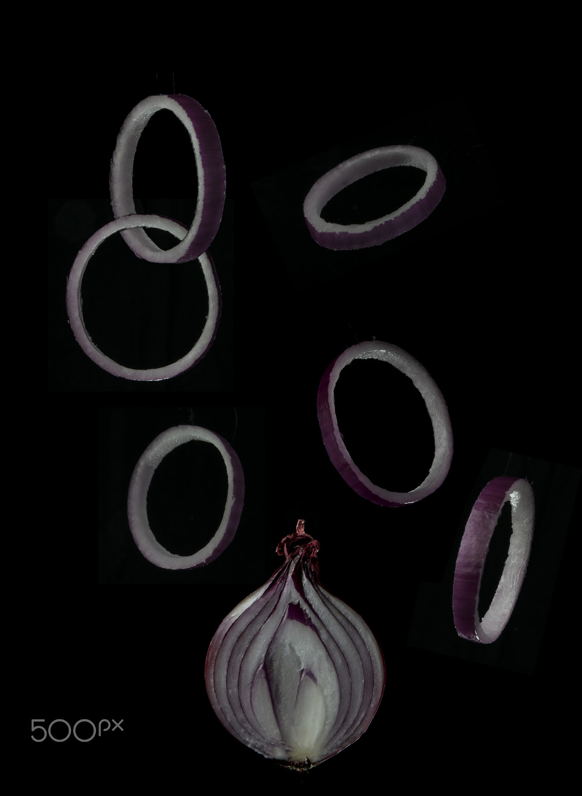 Sigma 17-70mm F2.8-4 DC Macro OS HSM sample photo. Onion rings photography