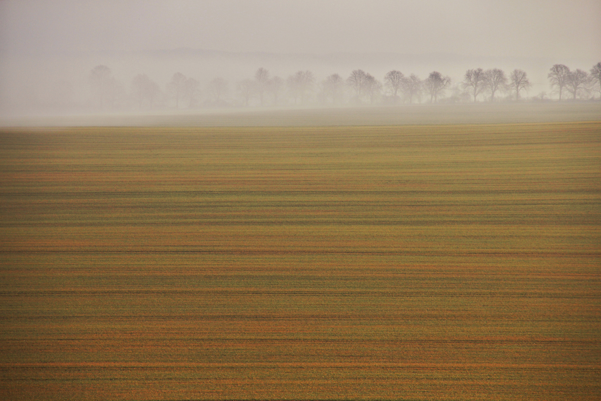 Sigma 18-200mm f/3.5-6.3 DC OS sample photo. Weite... photography